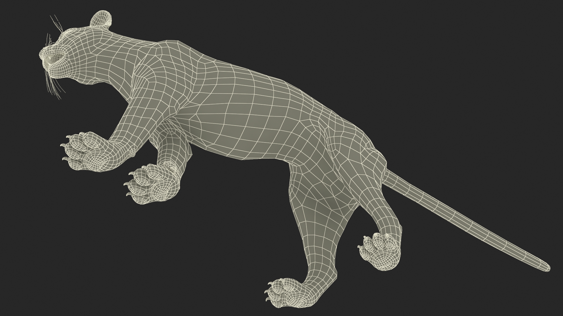 3D Snarling Puma model