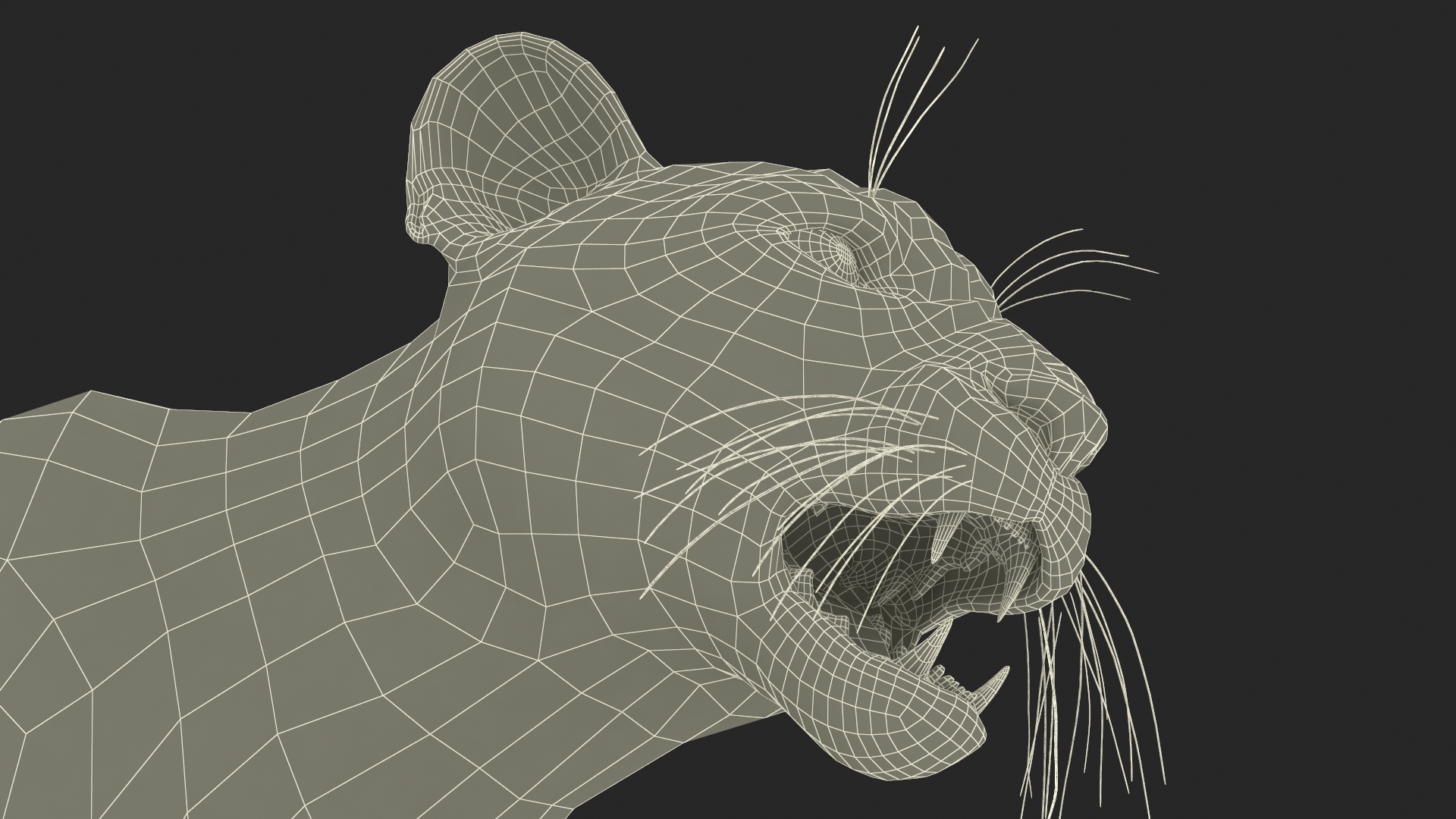 3D Snarling Puma model