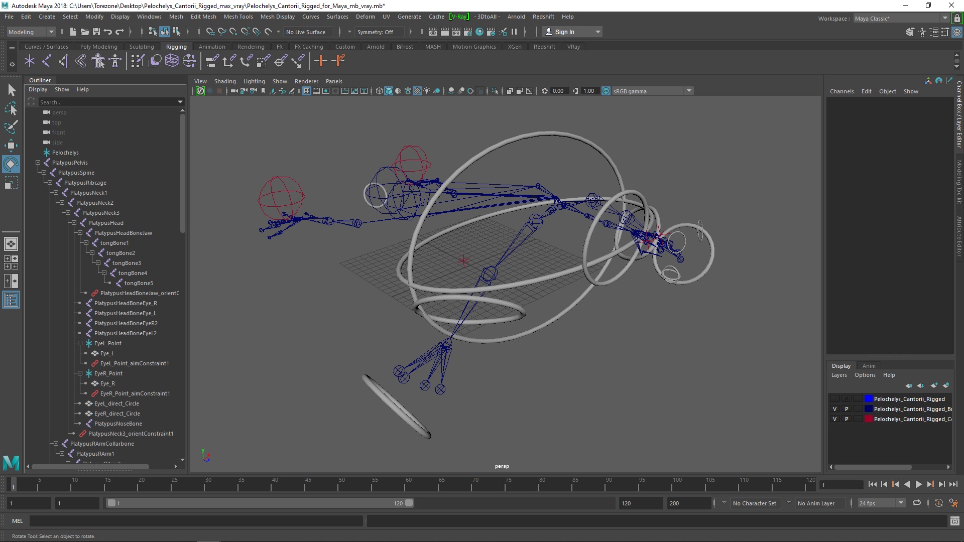 3D model Pelochelys Cantorii Rigged for Maya