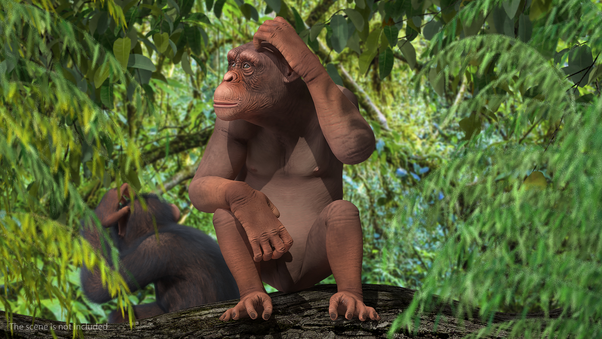 Sitting Light Chimpanzee 3D model