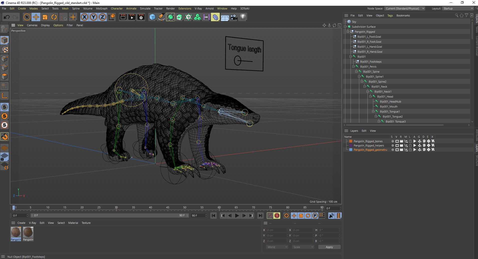 Pangolin Rigged for Cinema 4D 3D model