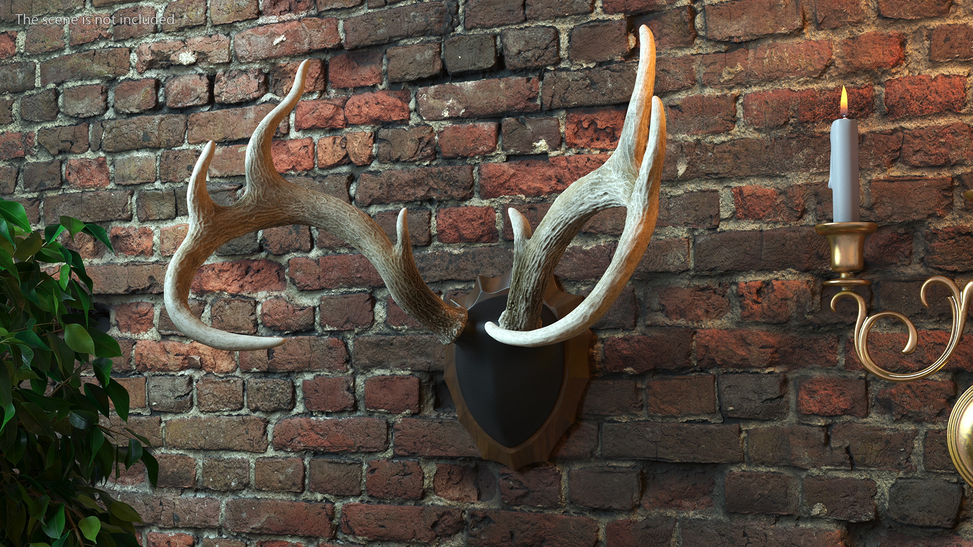 3D Deer Antlers on a Wall Mount model