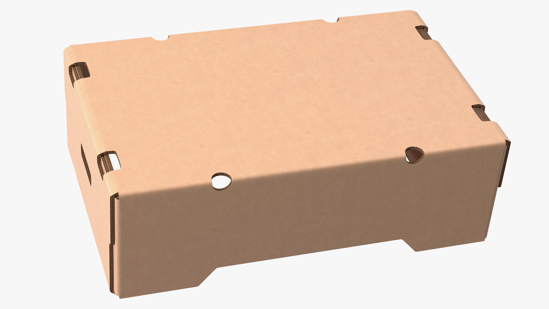 3D Corrugated Paper Fruit Tray Box