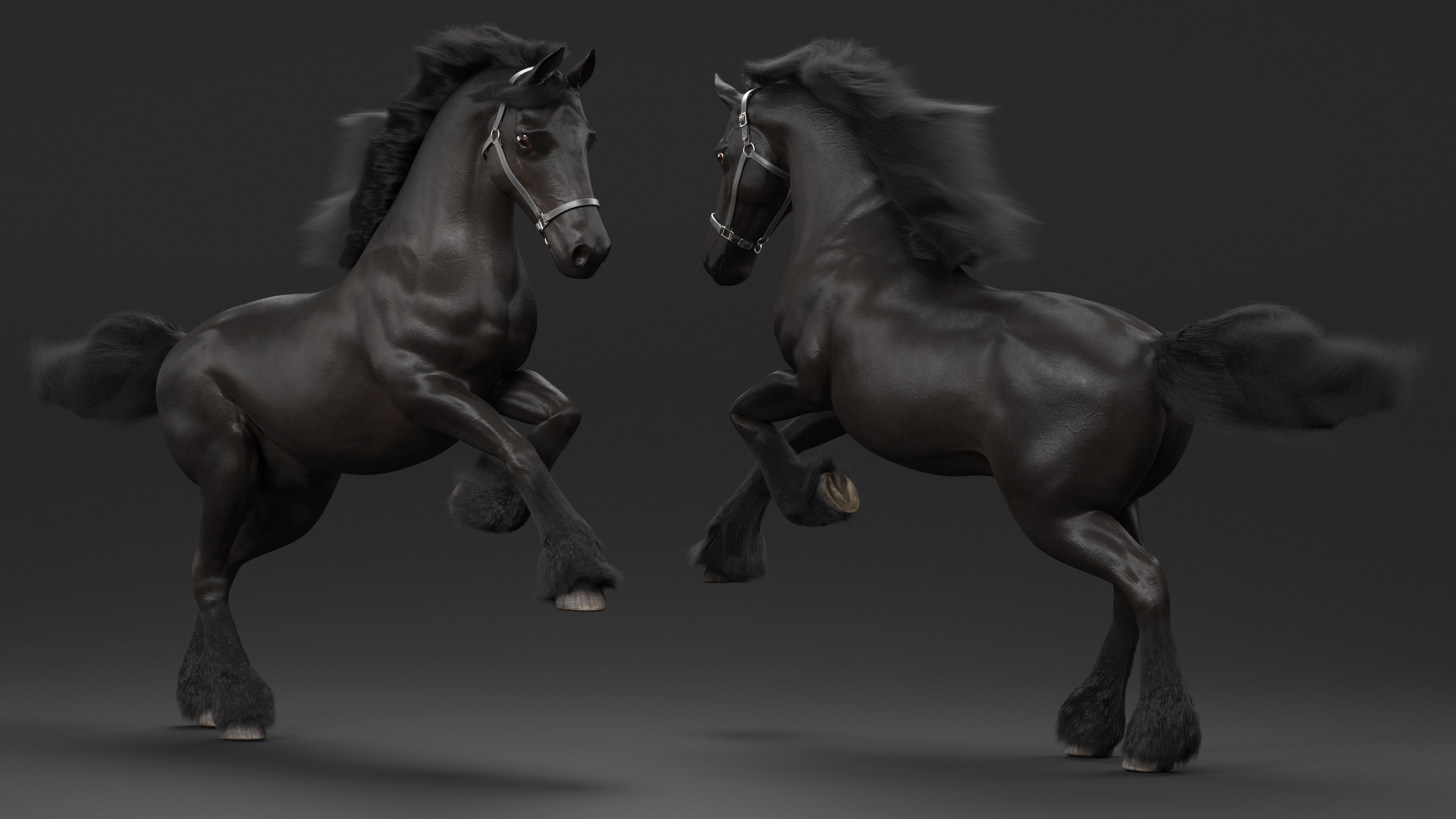 3D Running Friesian Horse Fur