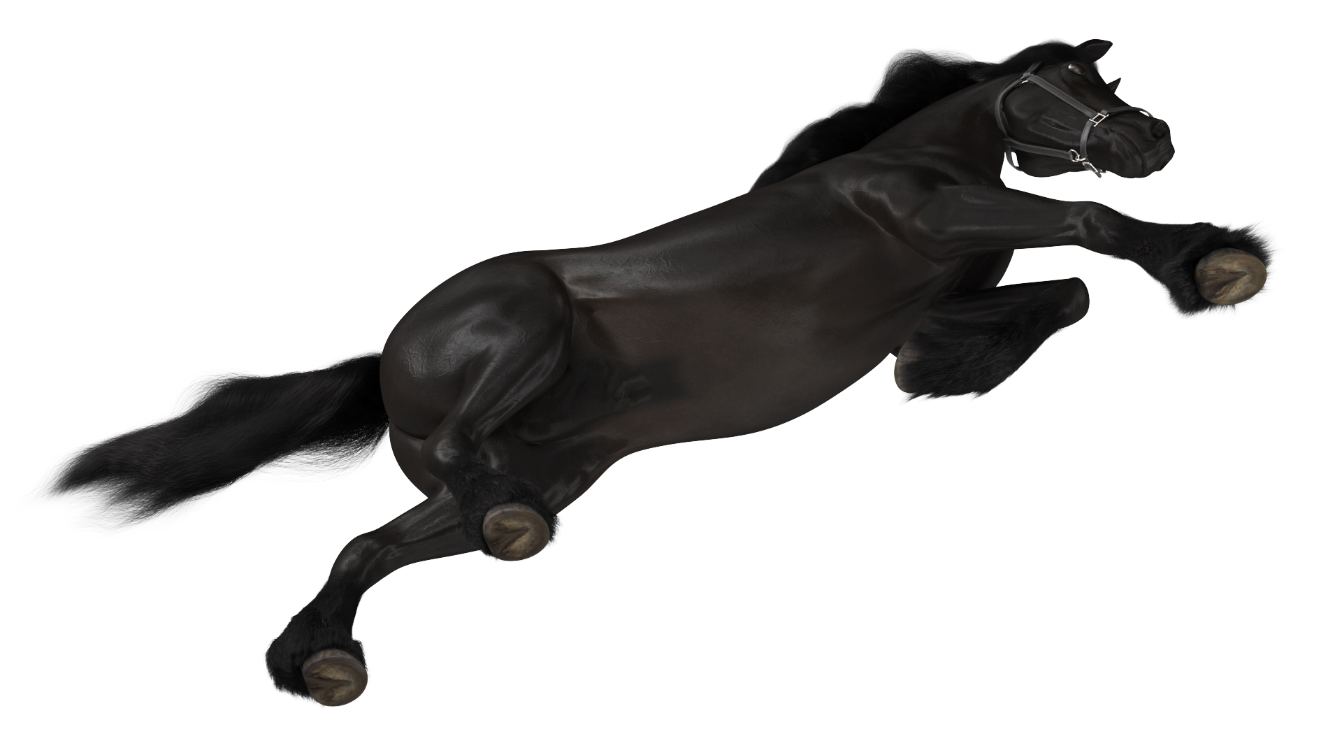 3D Running Friesian Horse Fur