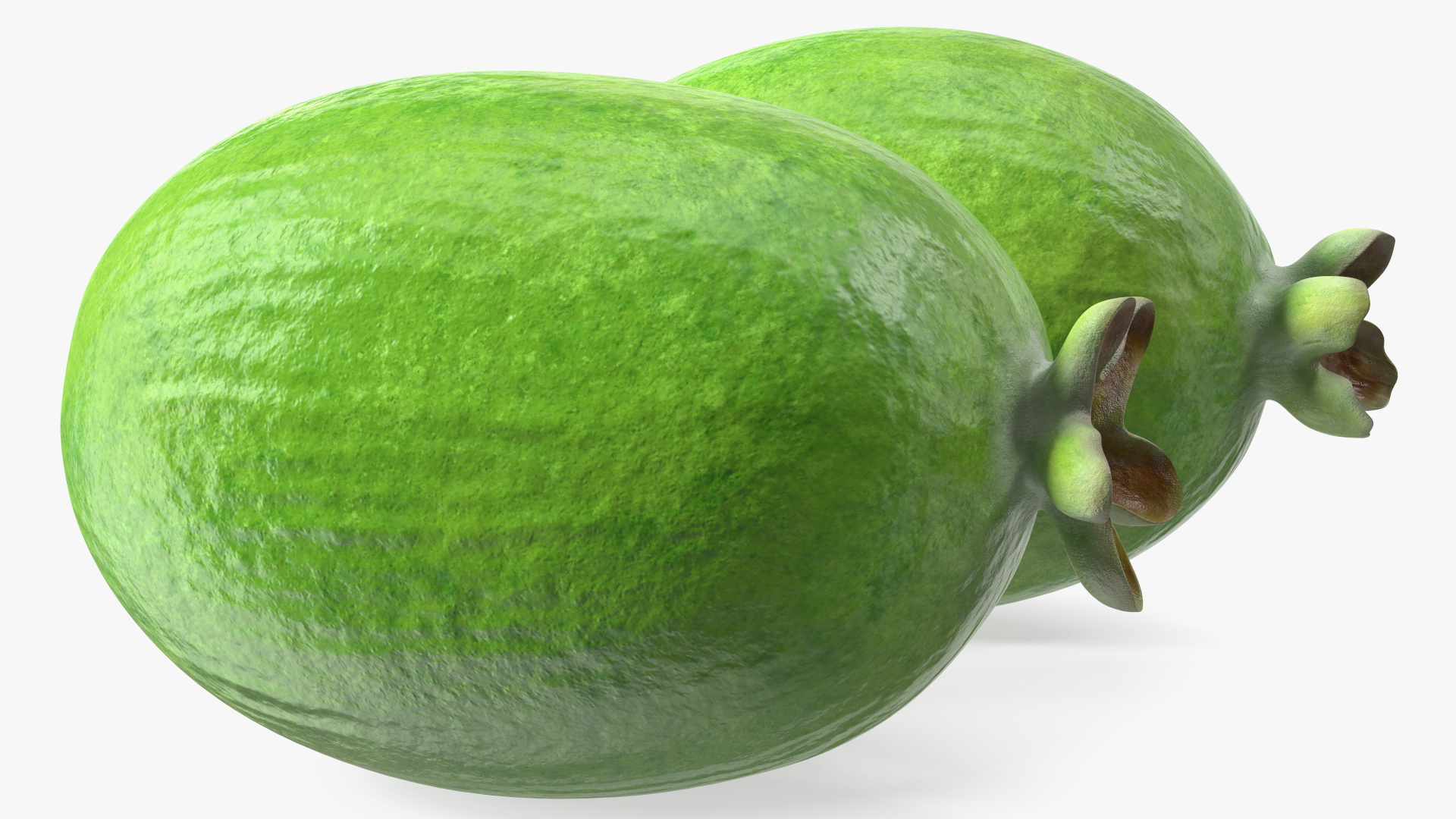 Feijoa Fruit 3D