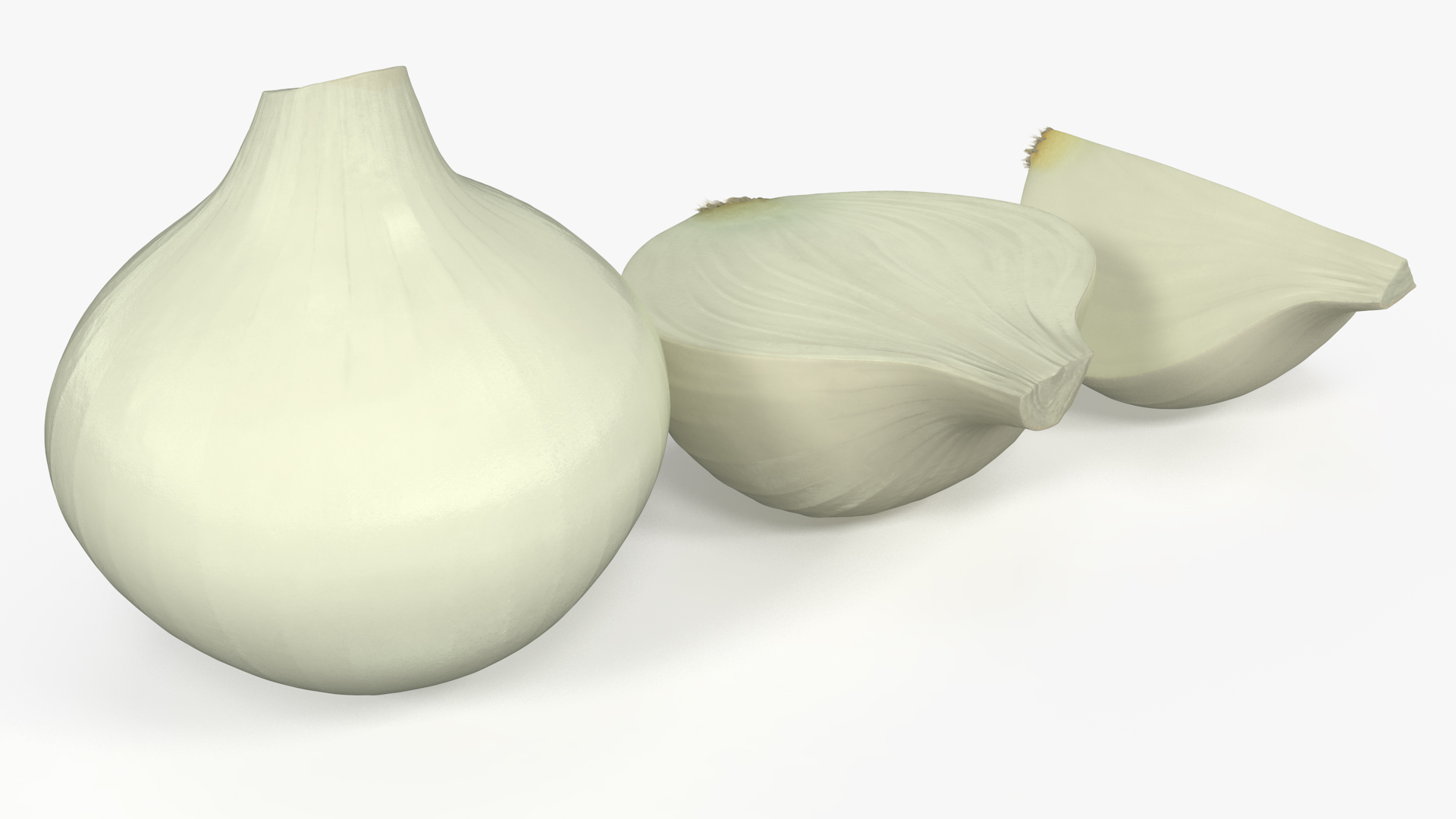 3D White Onions Fur