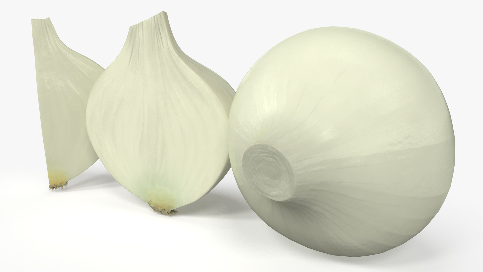 3D White Onions Fur