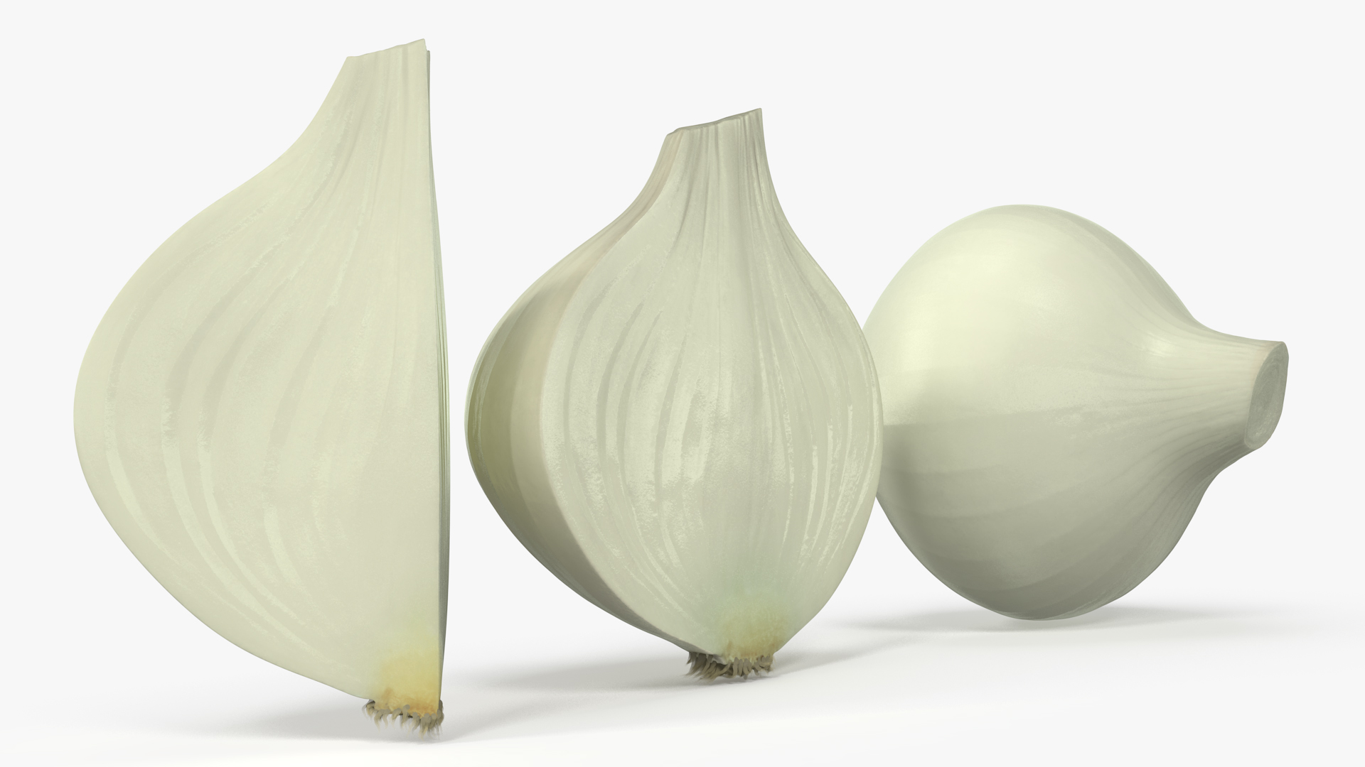 3D White Onions Fur