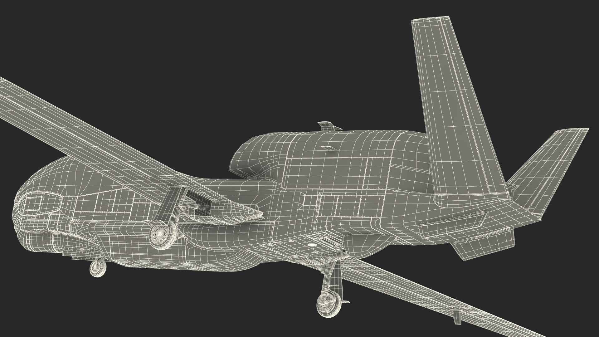 3D RQ-4D Phoenix Global Hawk Drone Rigged model