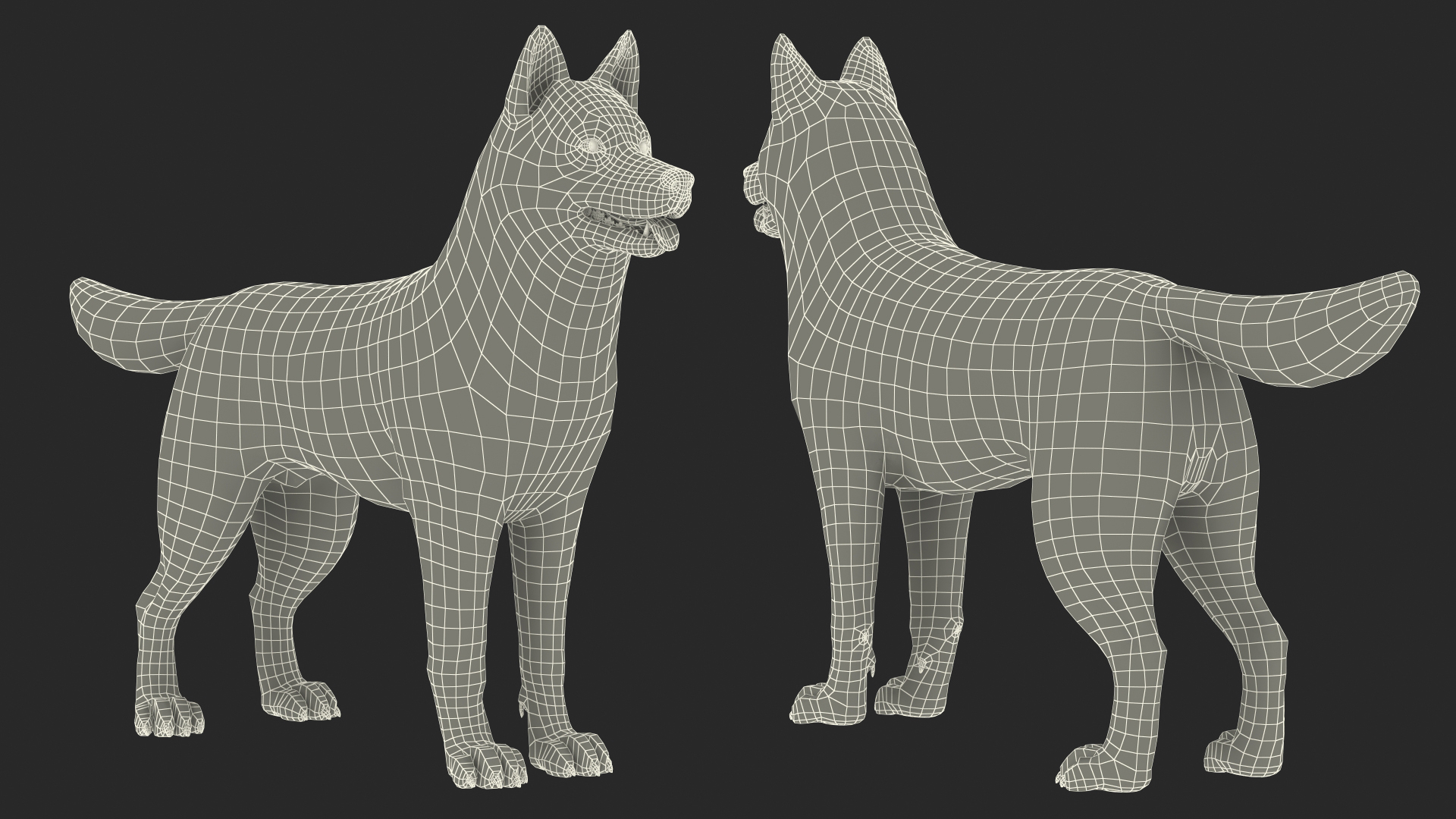 Siberian Husky Black and White Rigged 3D