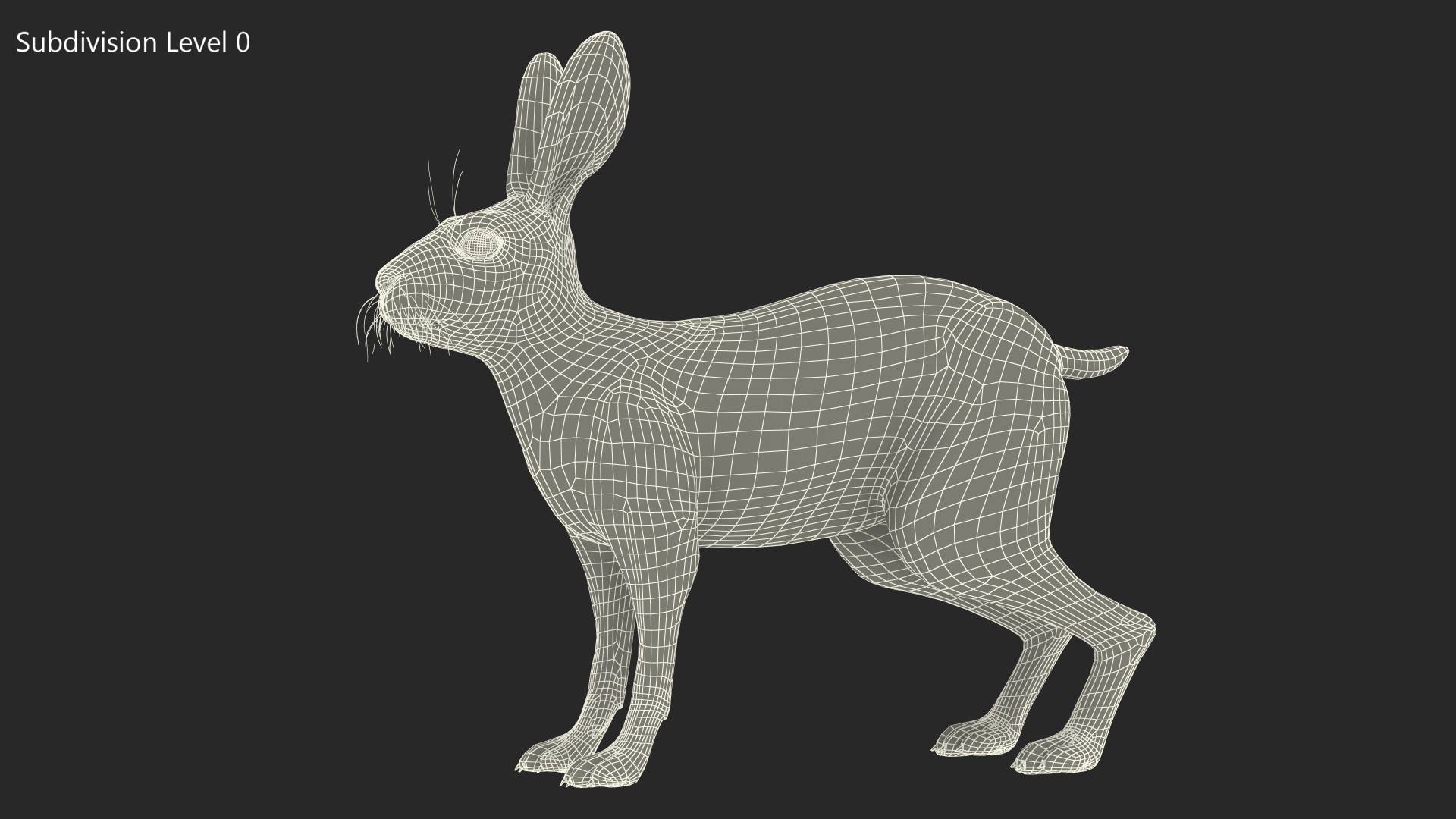 3D Jackrabbit Rigged for Maya