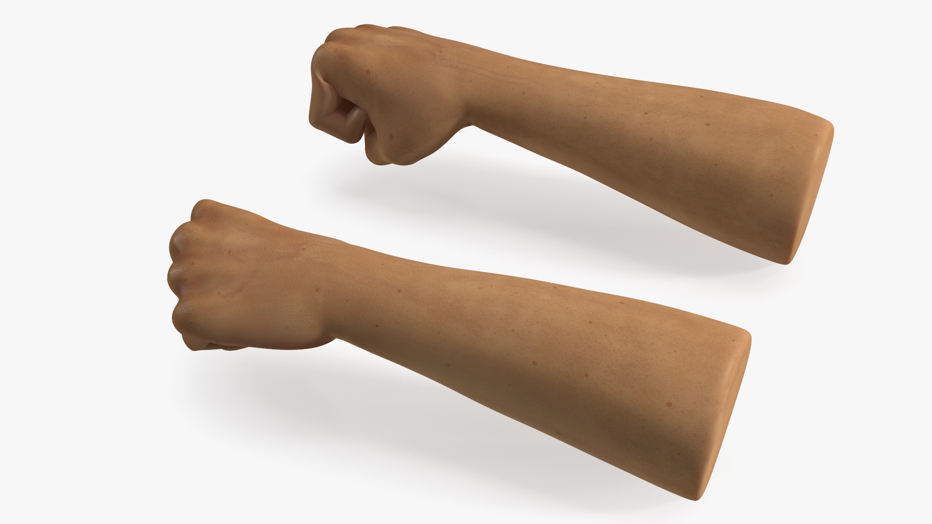 3D Realistic Human Male Arms with Fists