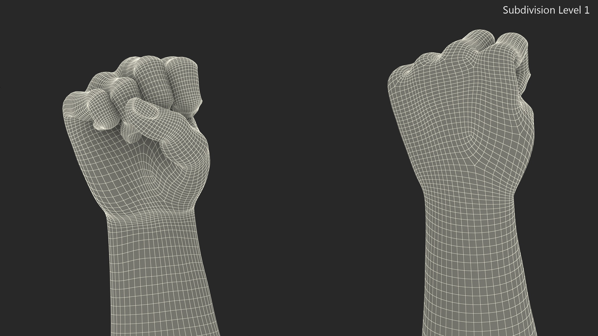 3D Realistic Human Male Arms with Fists