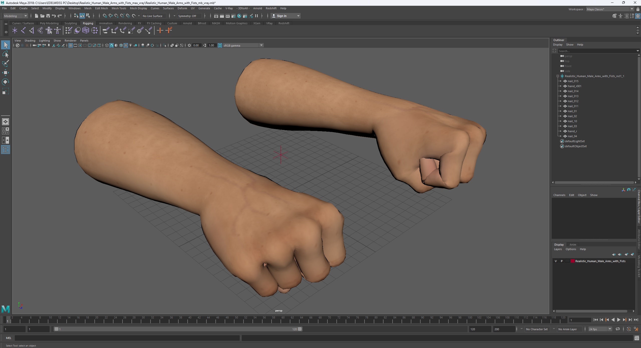 3D Realistic Human Male Arms with Fists