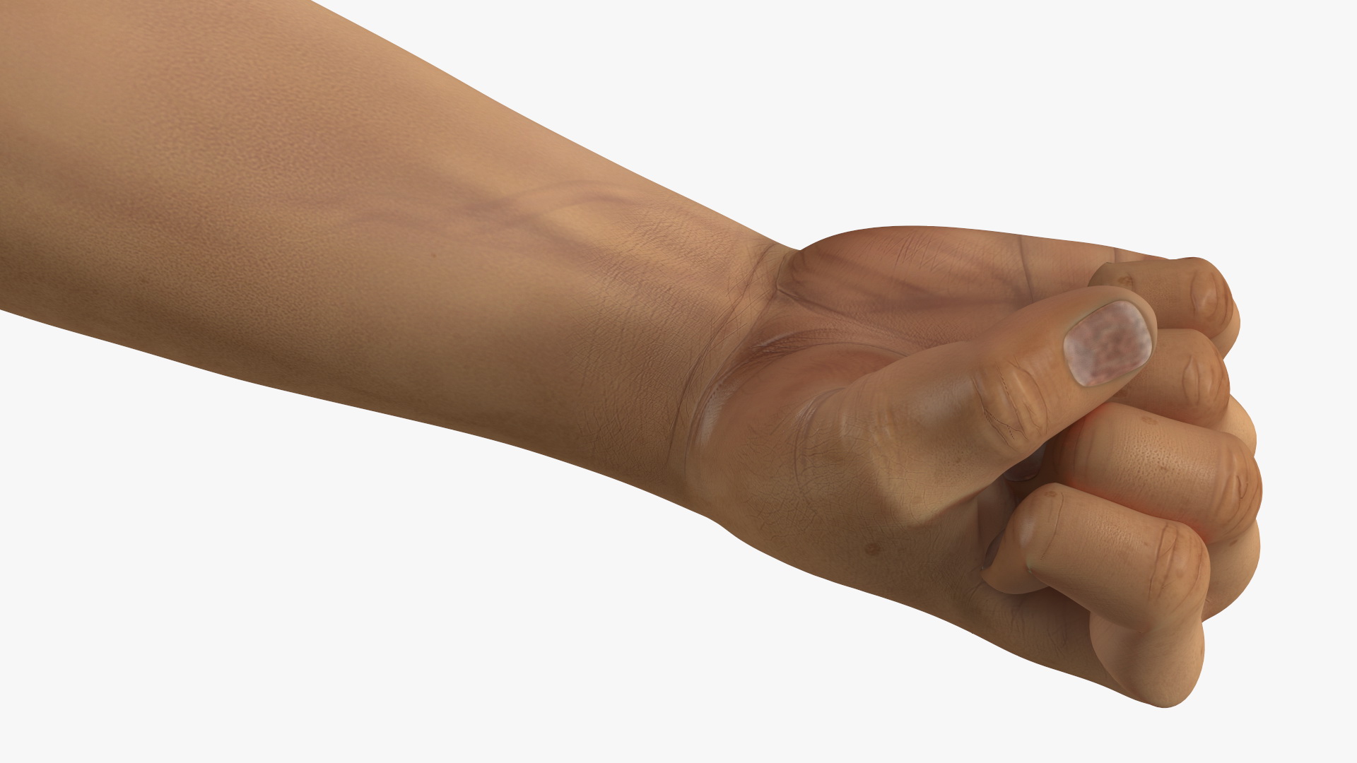 3D Realistic Human Male Arms with Fists