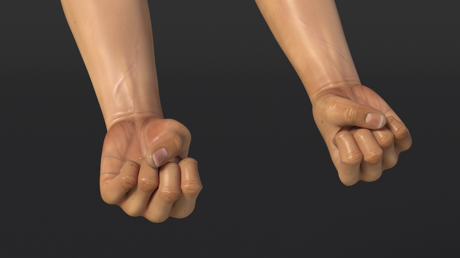 3D Realistic Human Male Arms with Fists