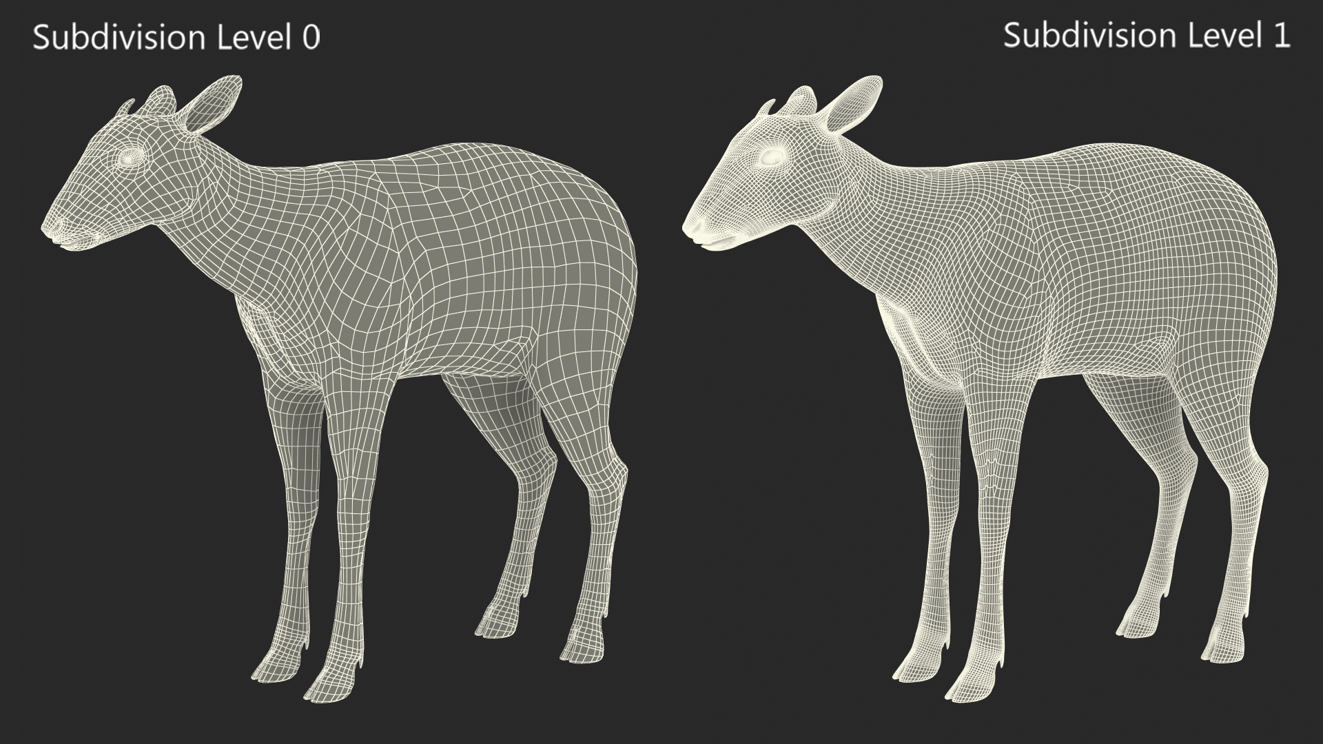 3D Saola Fur Rigged