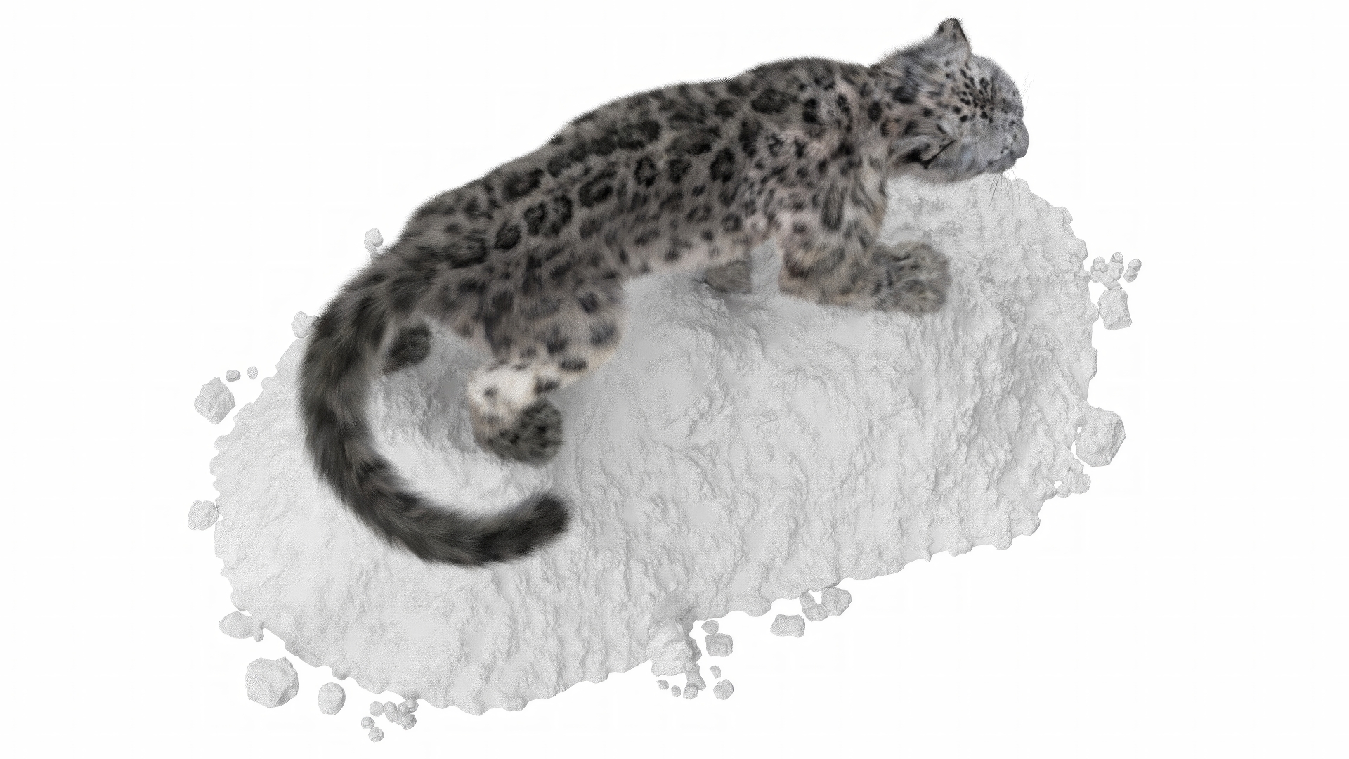 3D Snow Leopard on Snowy Mound Fur