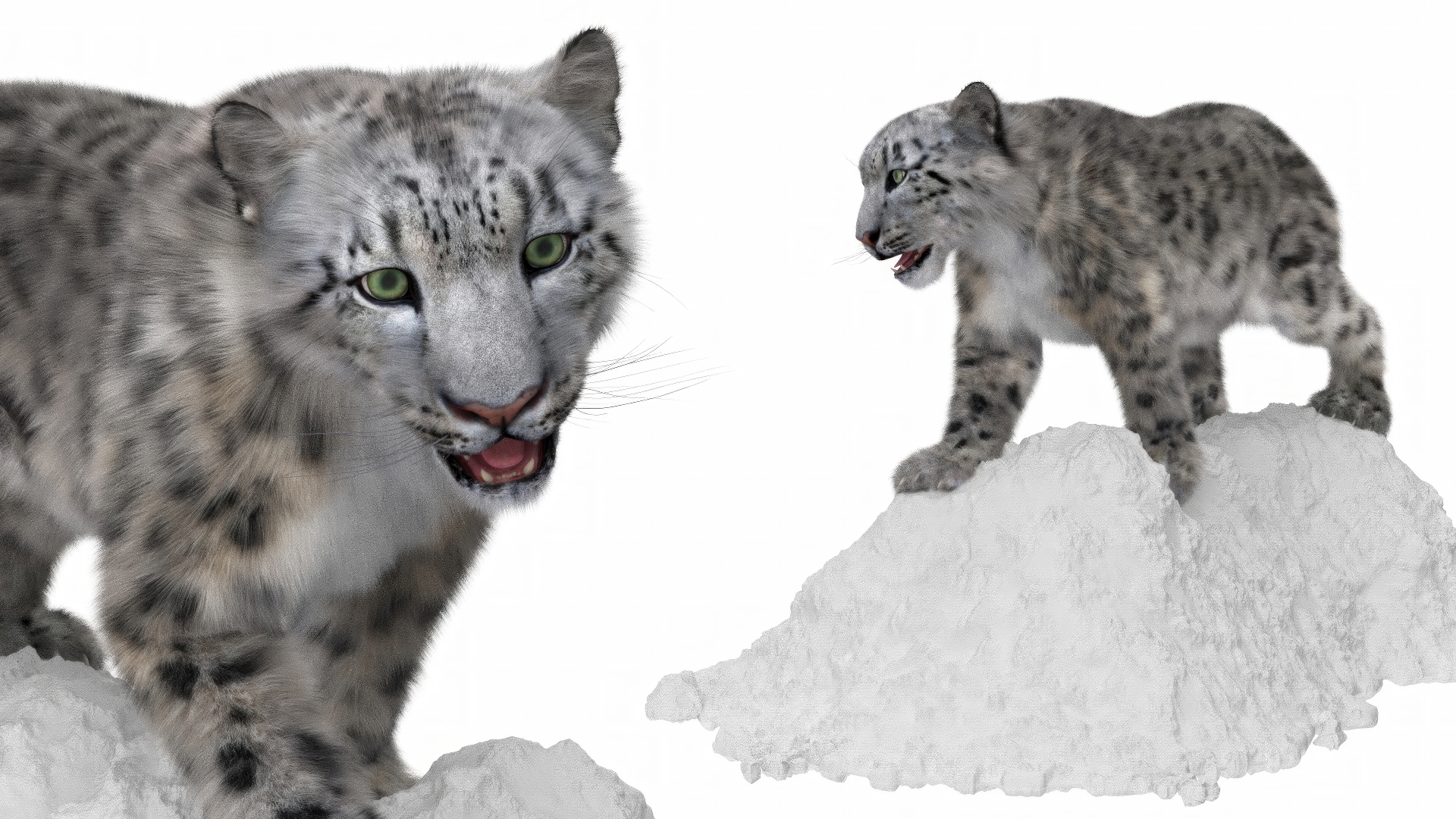 3D Snow Leopard on Snowy Mound Fur