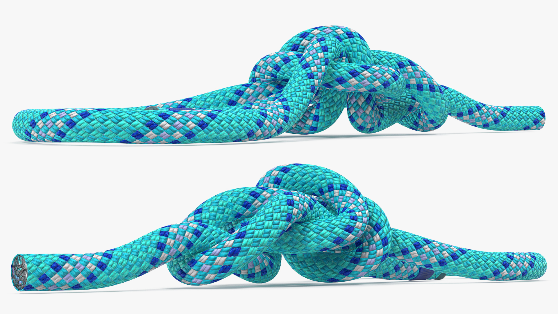 3D Water Bowline Rope Knot model