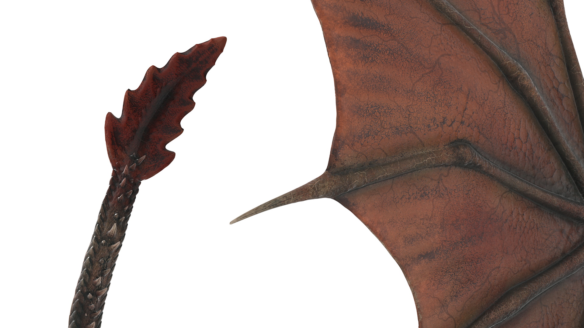 3D model Fantasy Winged Dragon Creature