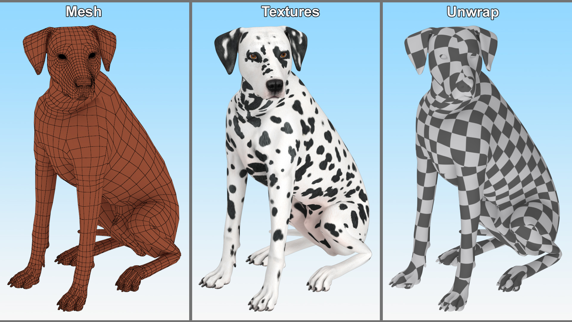 Spotted Sitting Dalmatian Dog 3D model