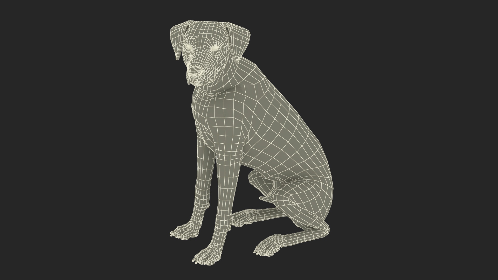 Spotted Sitting Dalmatian Dog 3D model