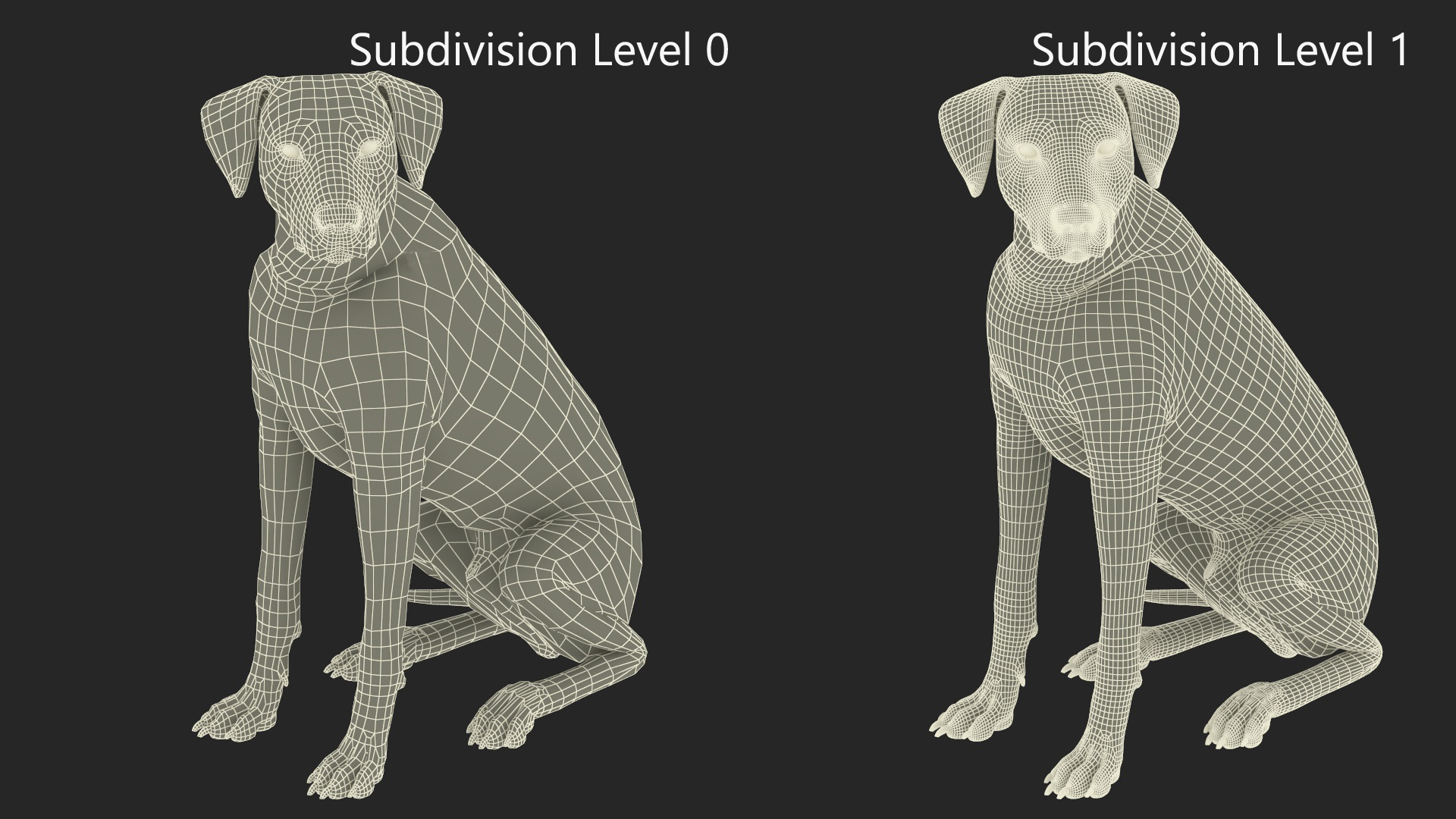 Spotted Sitting Dalmatian Dog 3D model