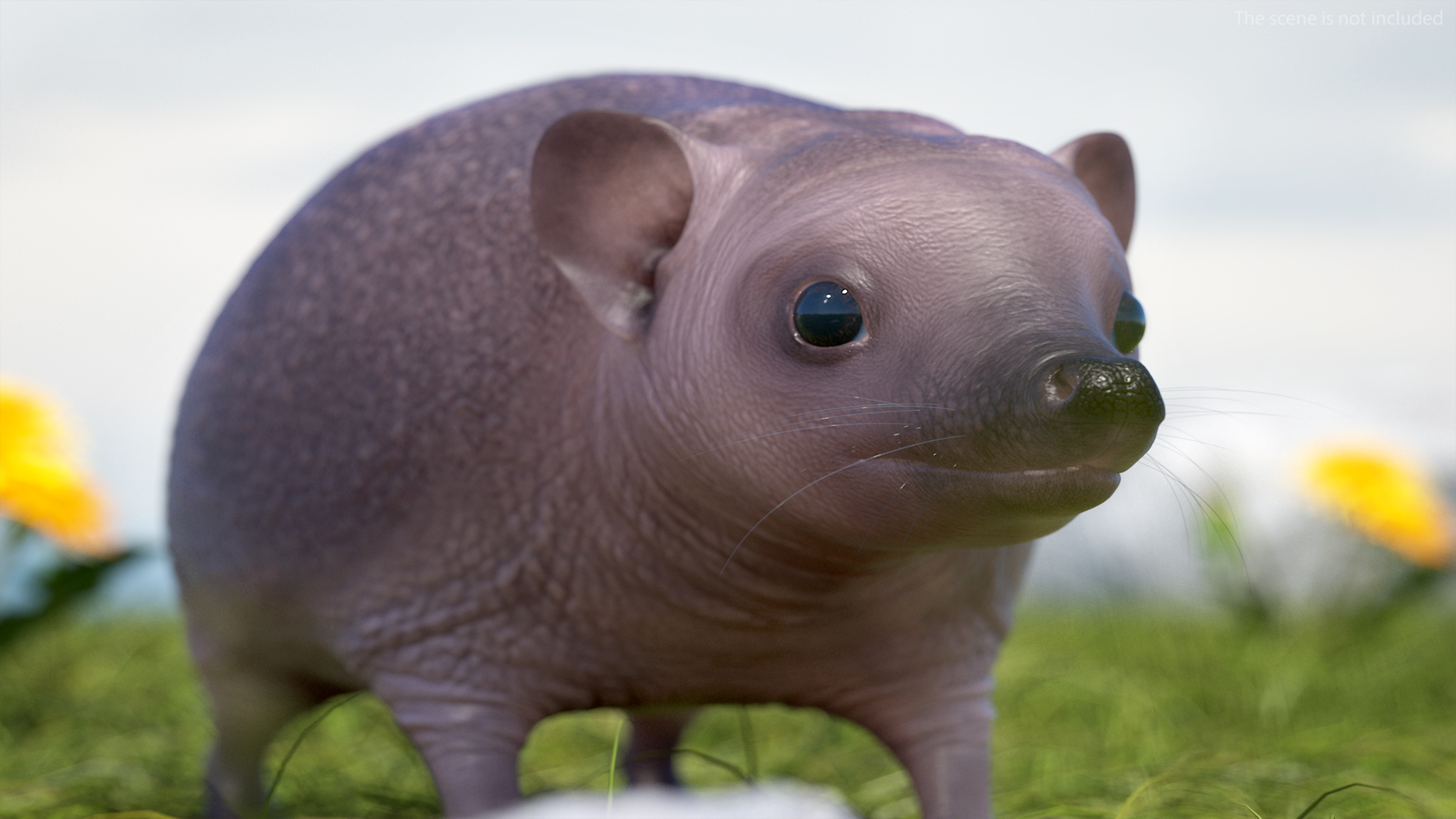 3D Bald Hedgehog model