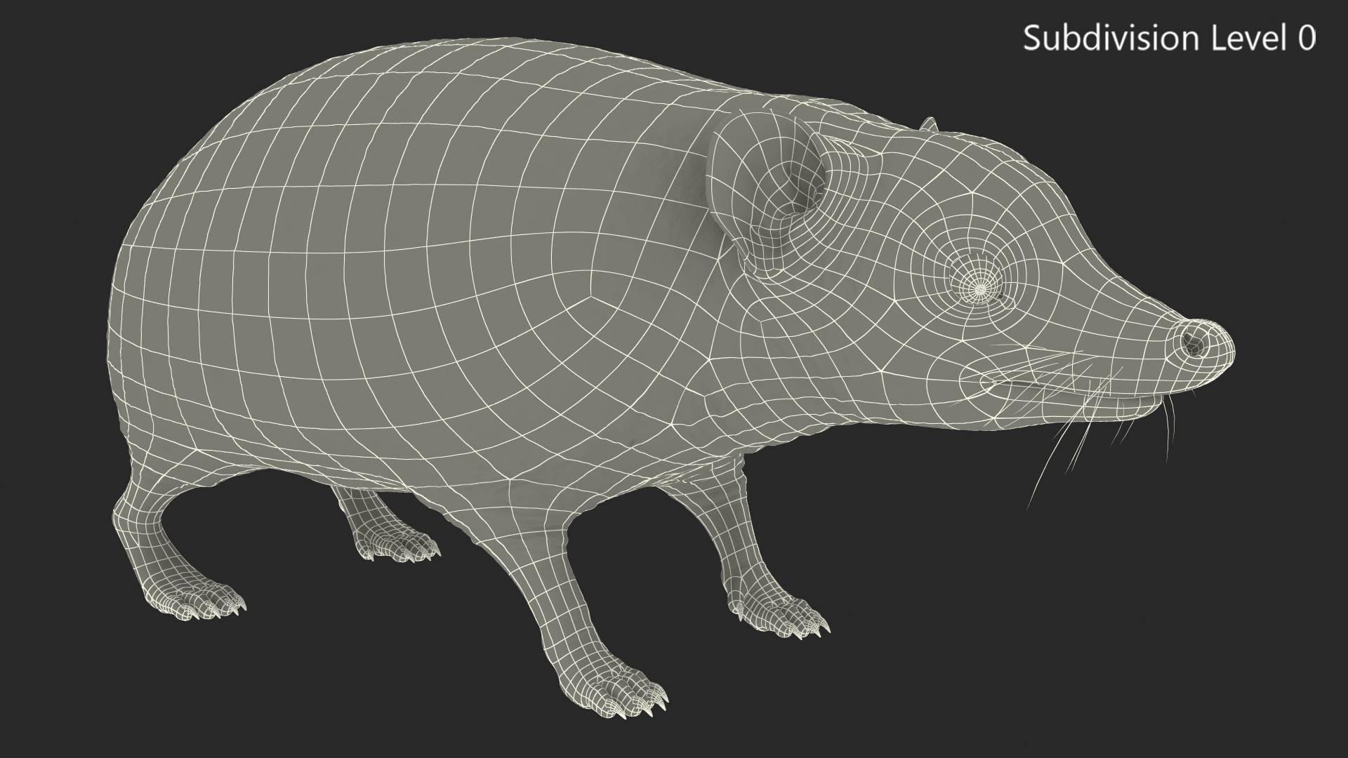 3D Bald Hedgehog model