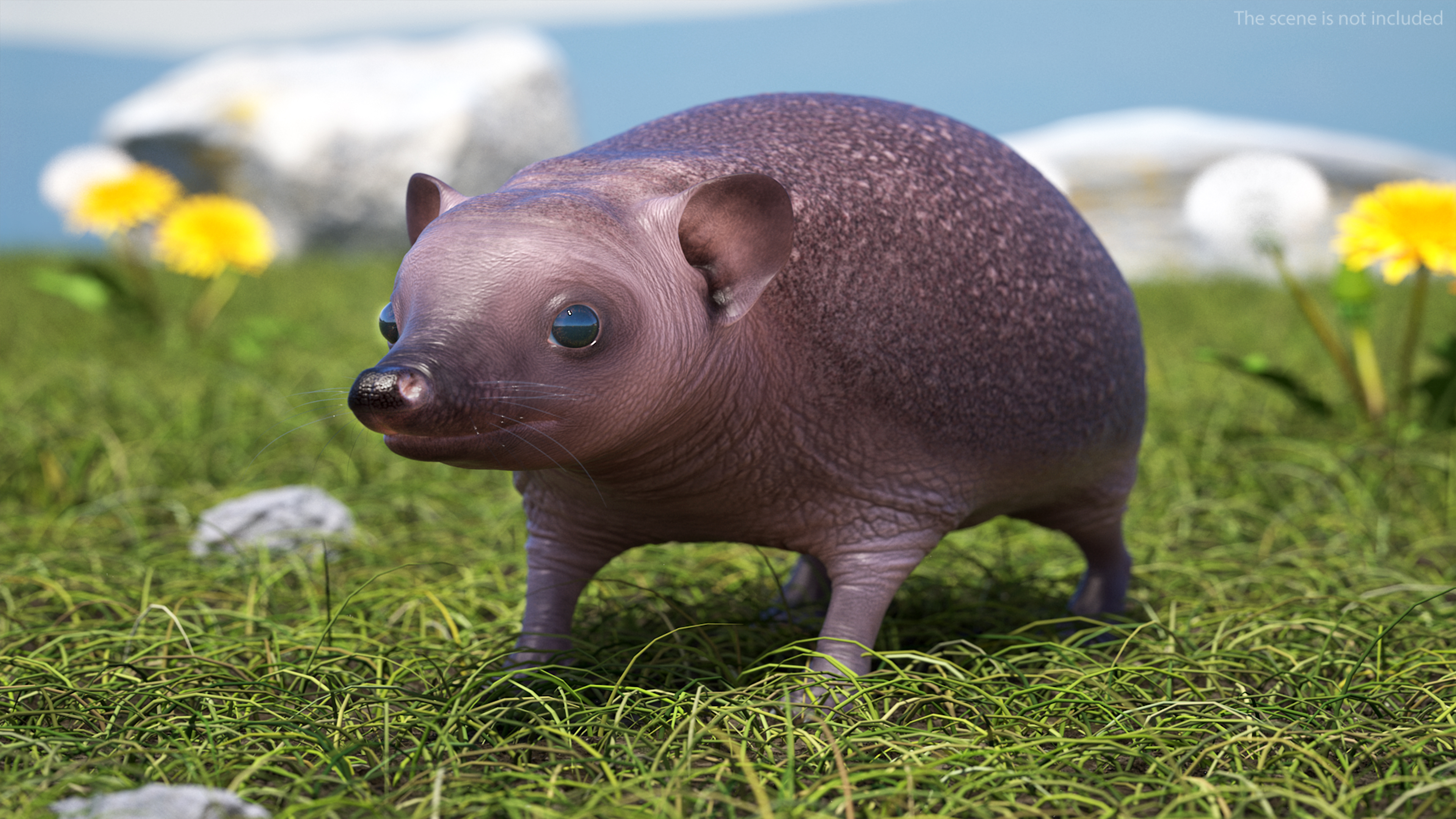 3D Bald Hedgehog model