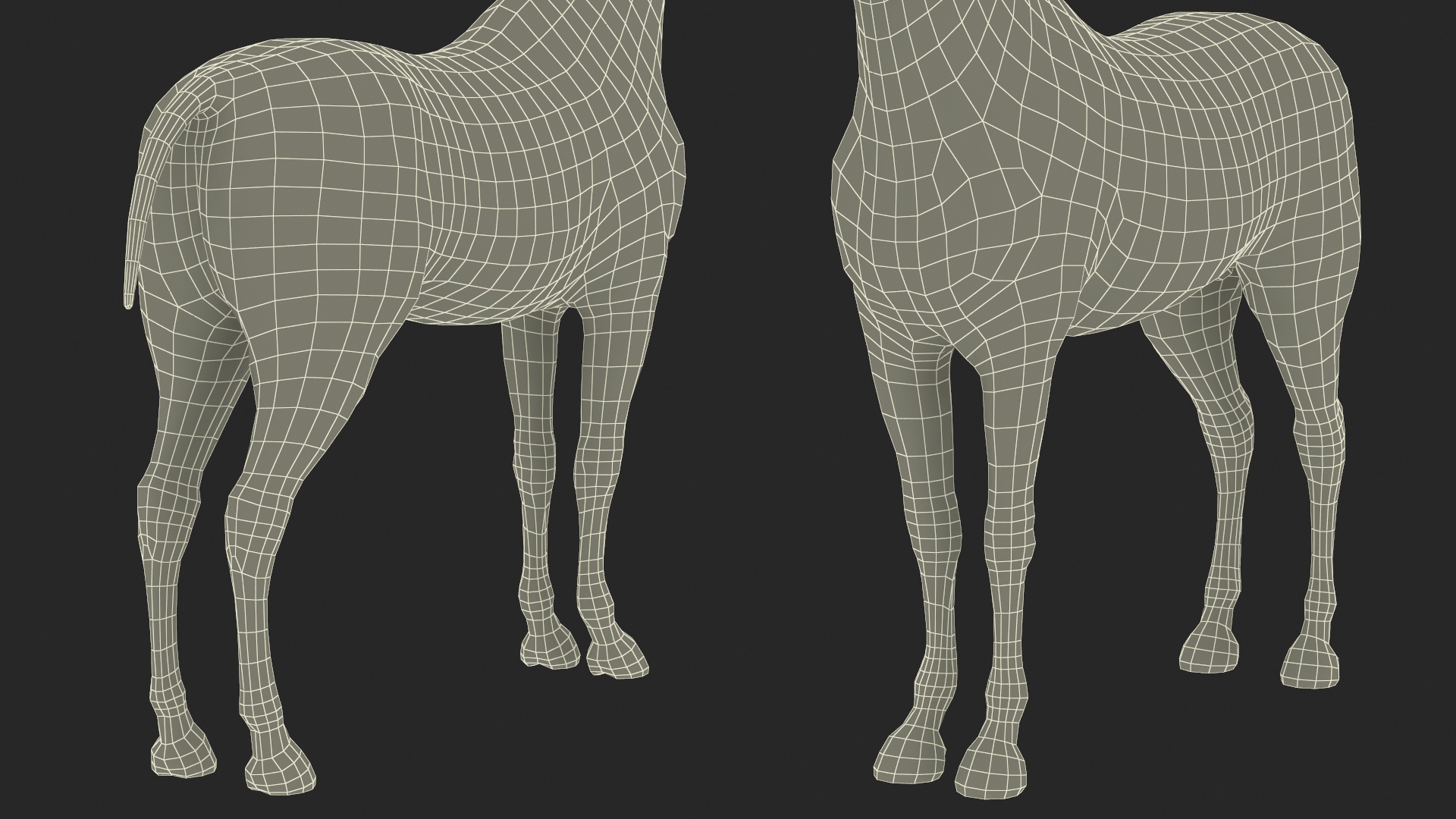 3D model Arabian Horse Gray Dappled Fur