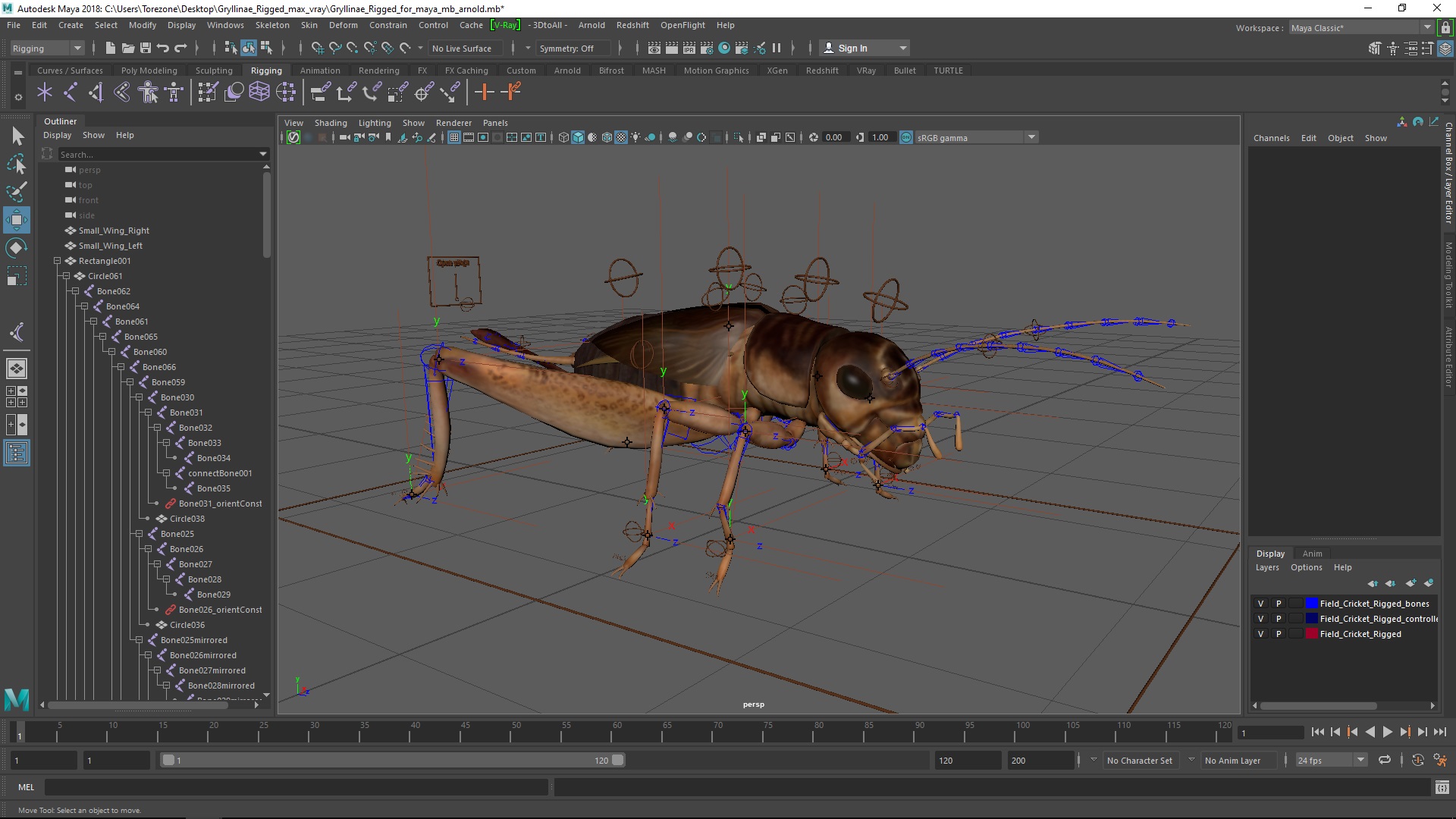 3D model Gryllinae Rigged for Maya