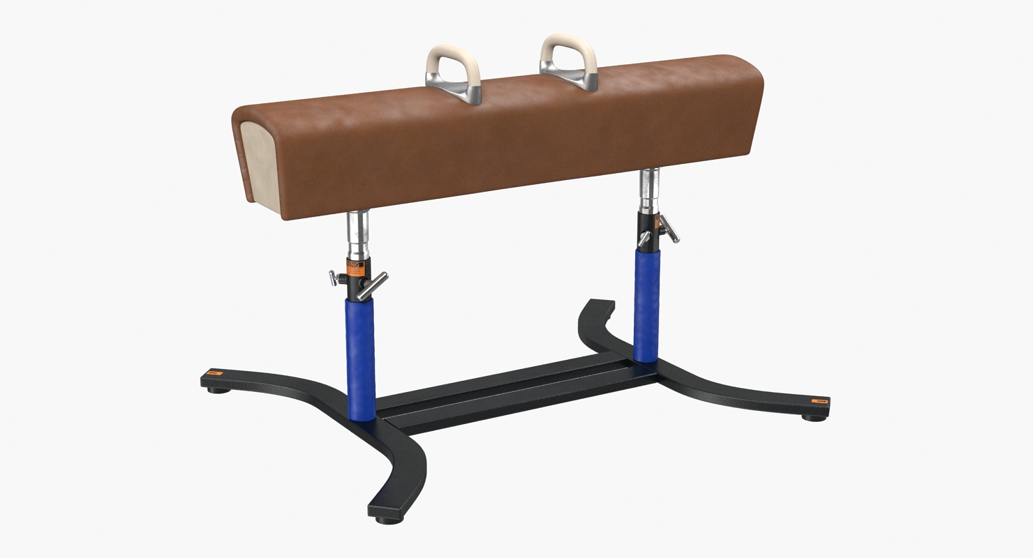 3D model Classic Pommel Horse