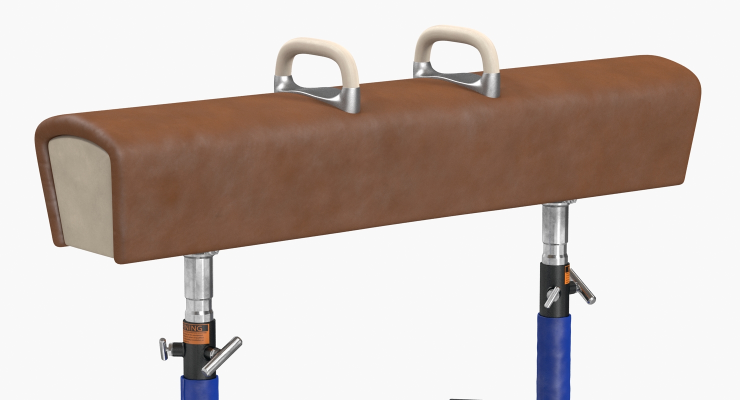 3D model Classic Pommel Horse