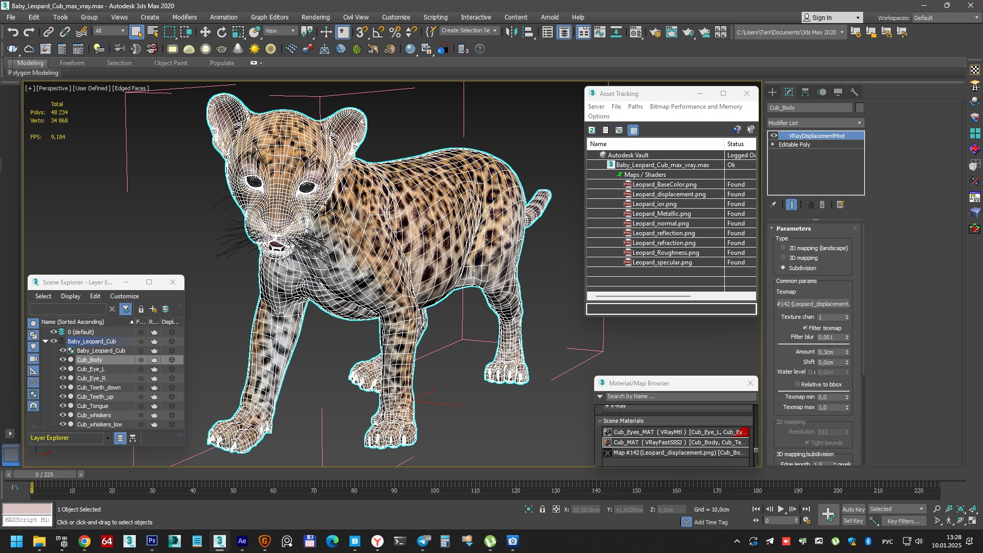 3D Baby Leopard Cub