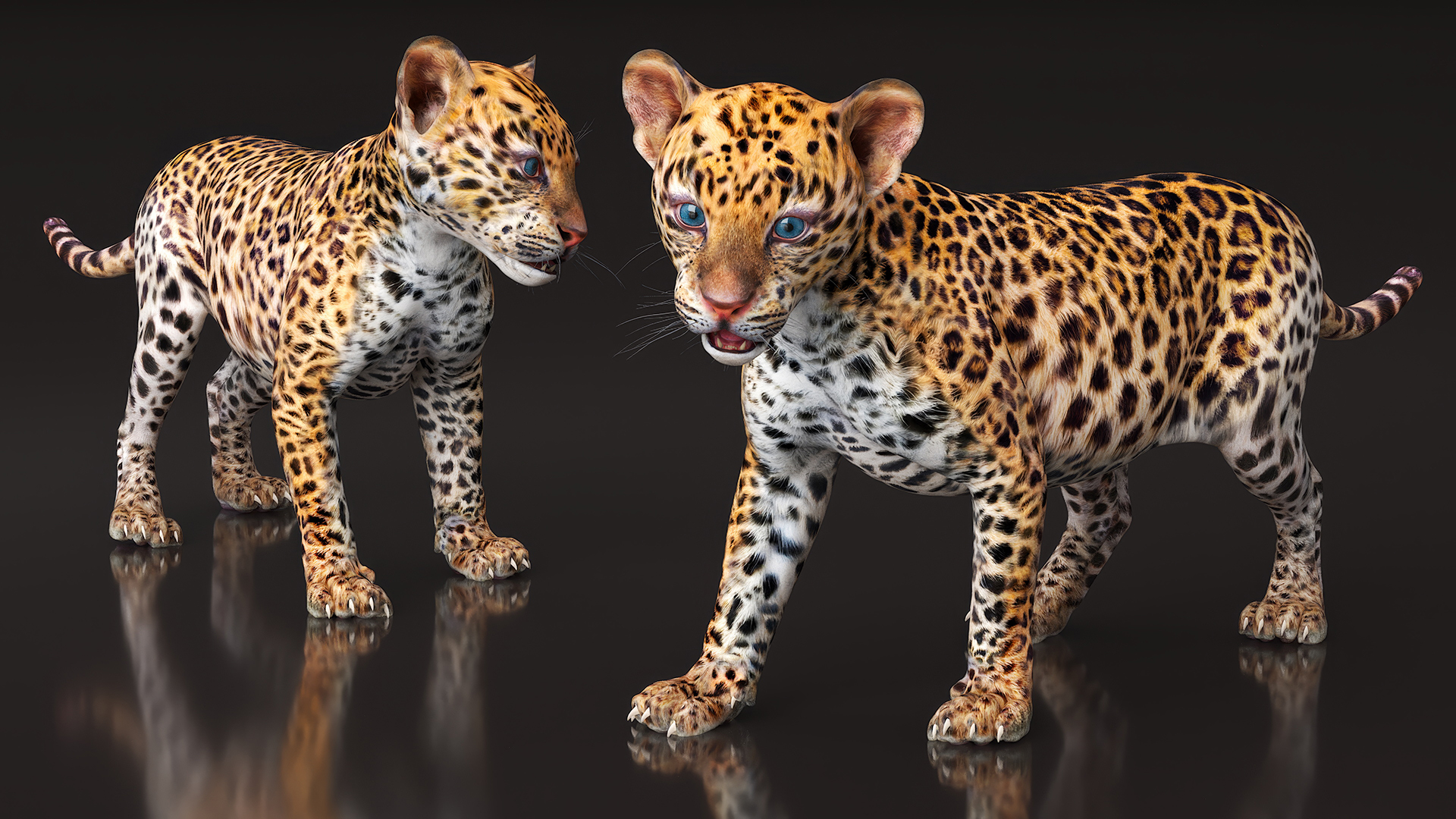 3D Baby Leopard Cub