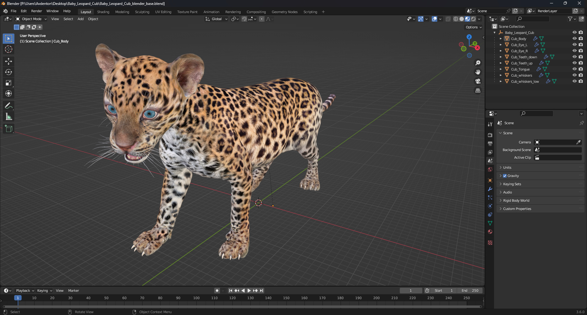 3D Baby Leopard Cub