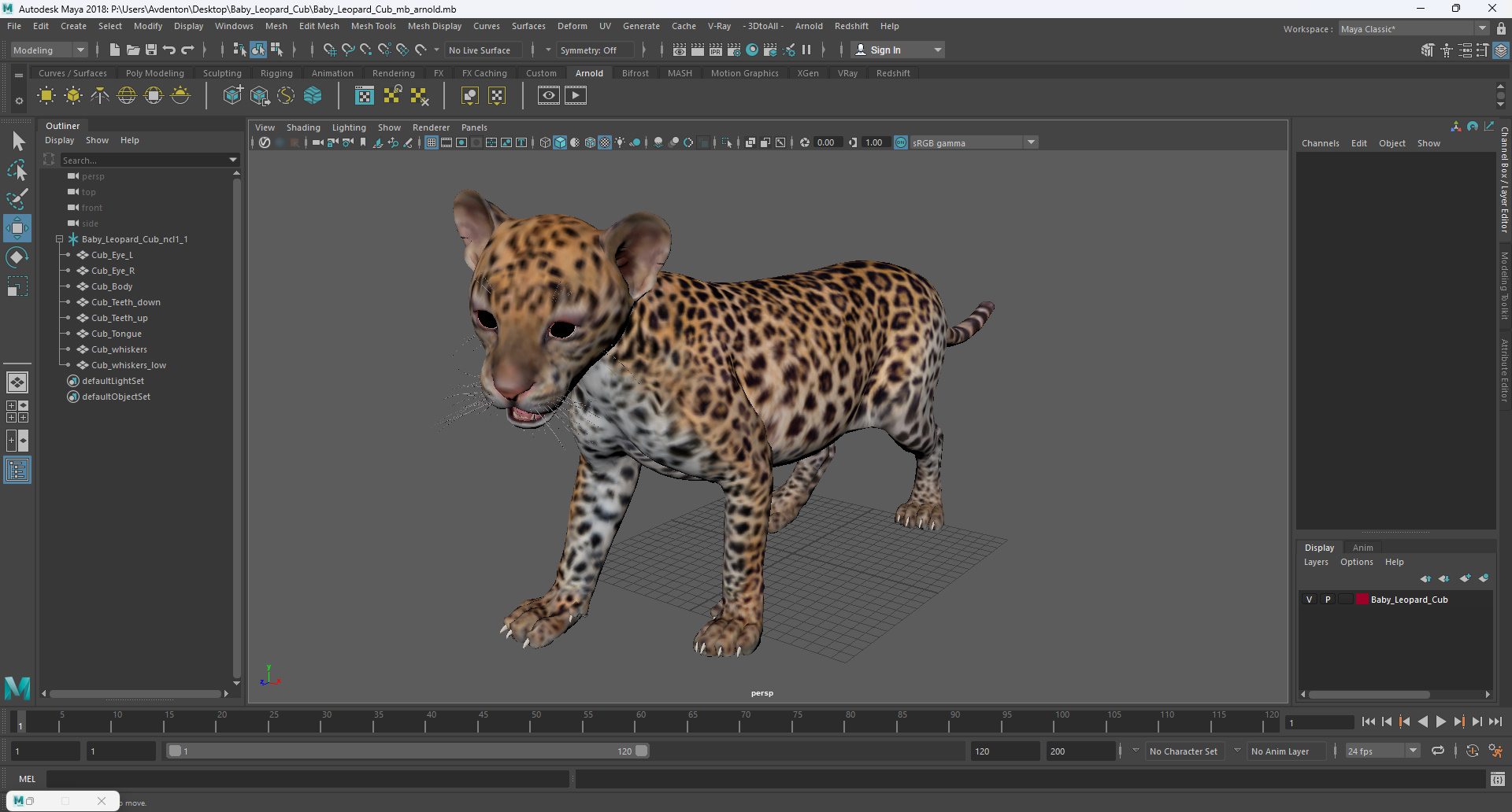 3D Baby Leopard Cub