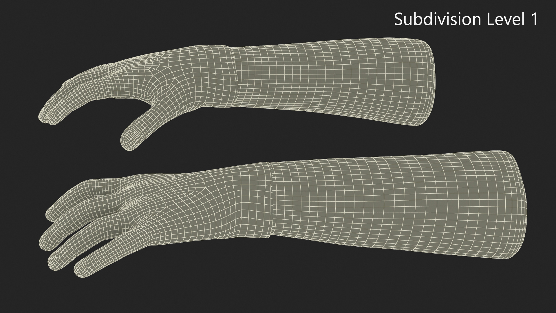 3D Hands Wearing Medical Gloves White Rigged