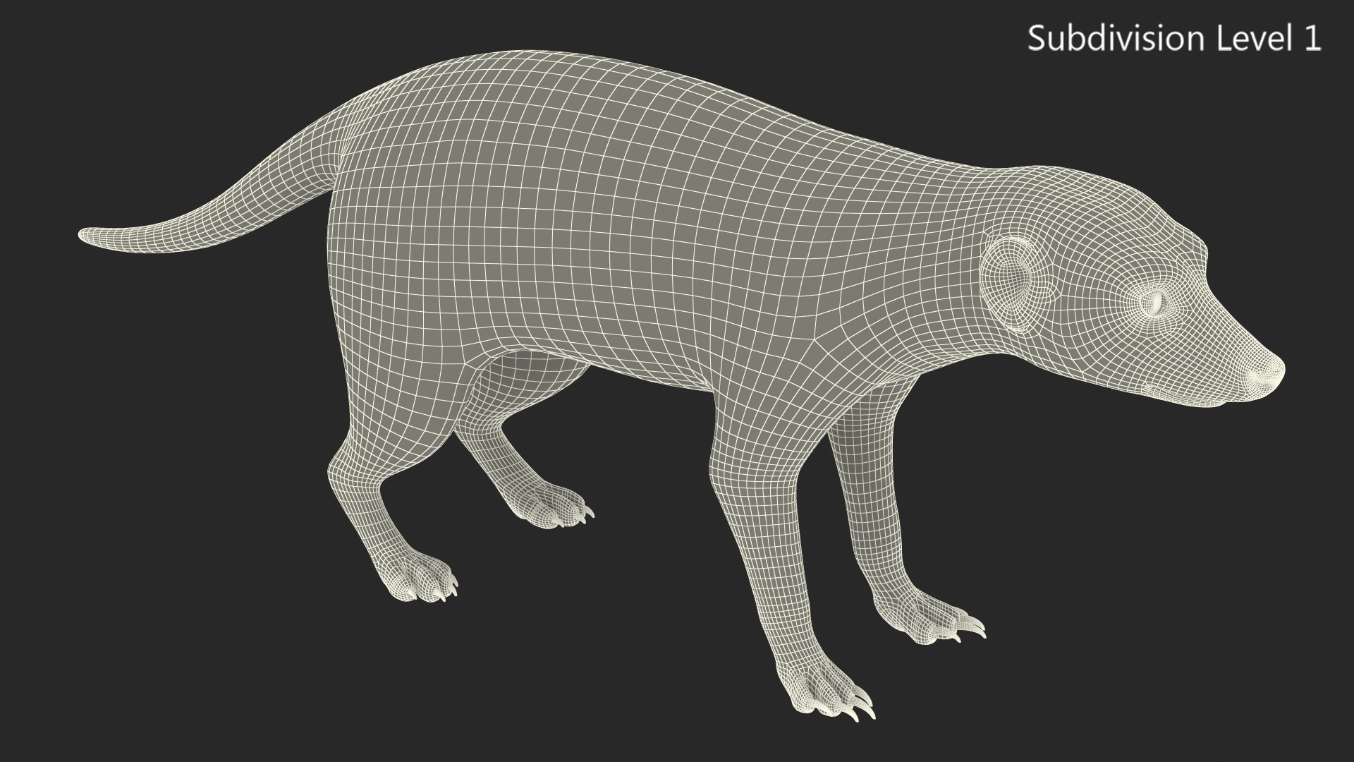 Meerkat Neutral Pose Fur 3D model