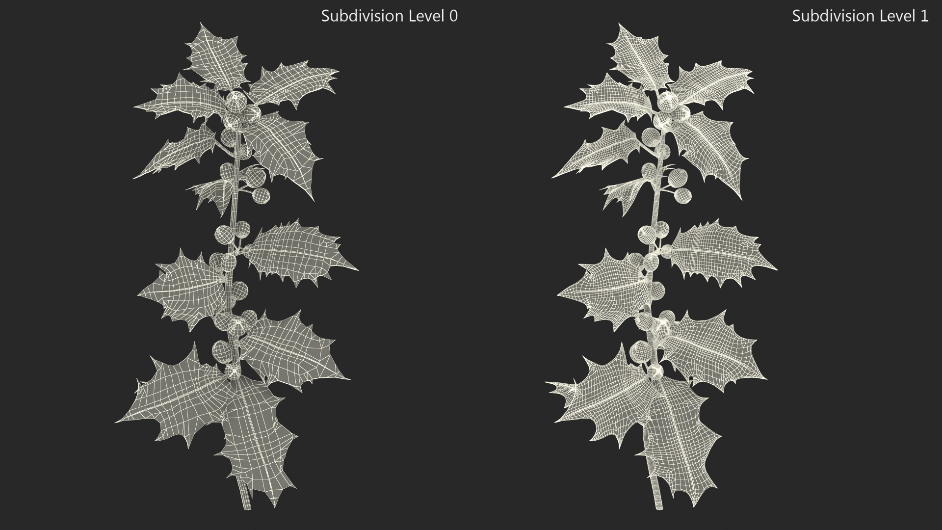 3D Mistletoe Sprig Holly