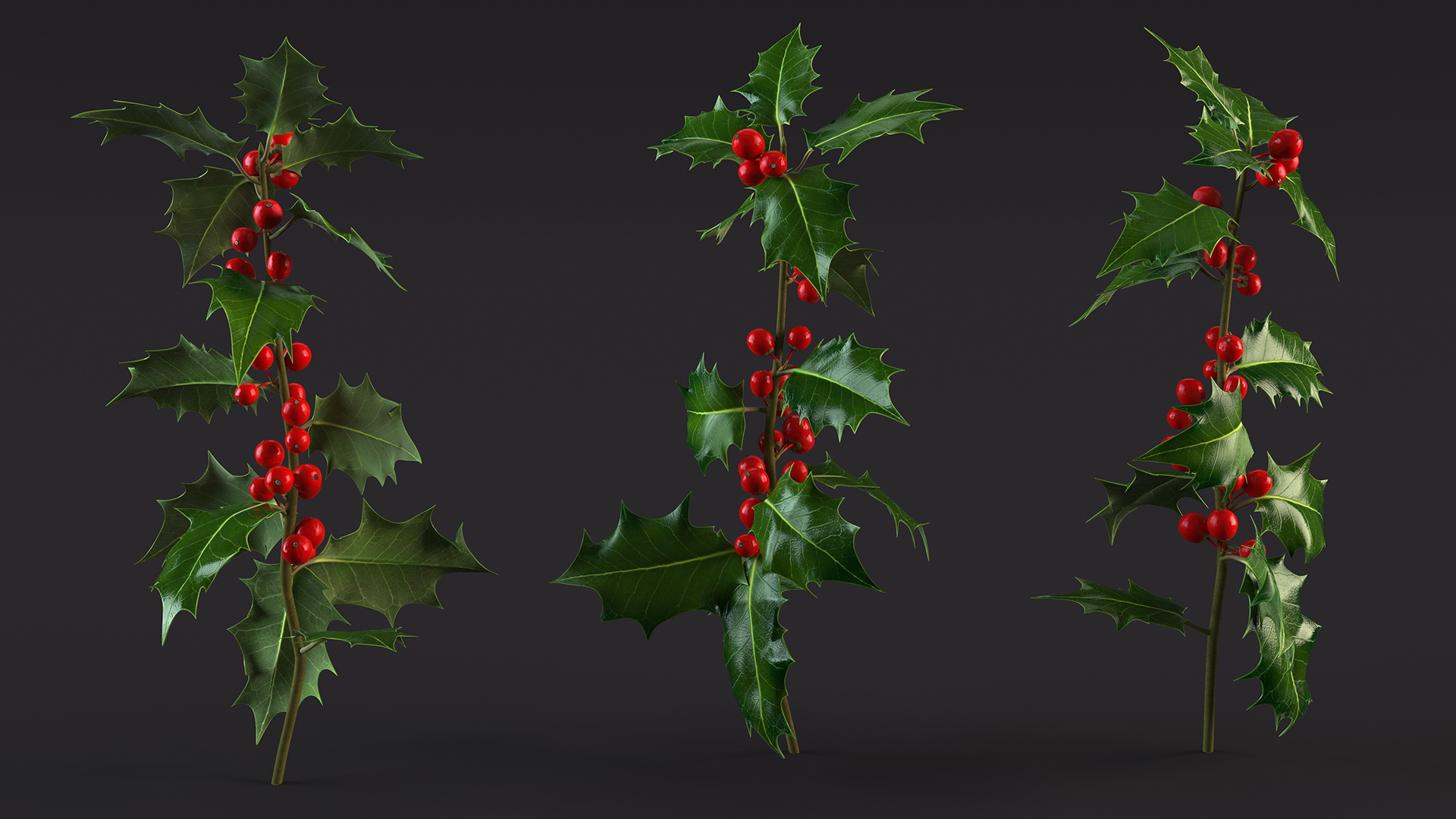 3D Mistletoe Sprig Holly