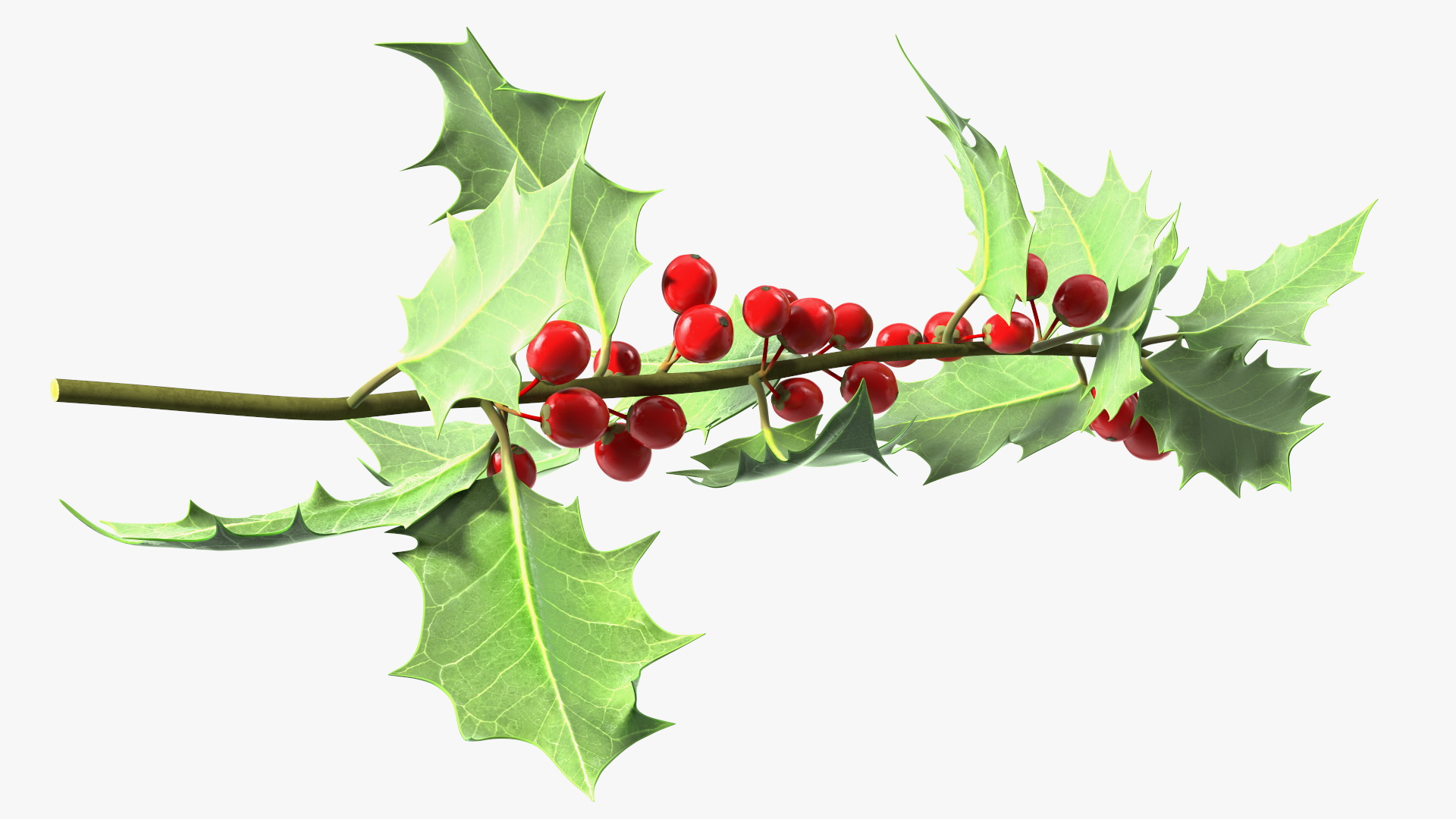 3D Mistletoe Sprig Holly