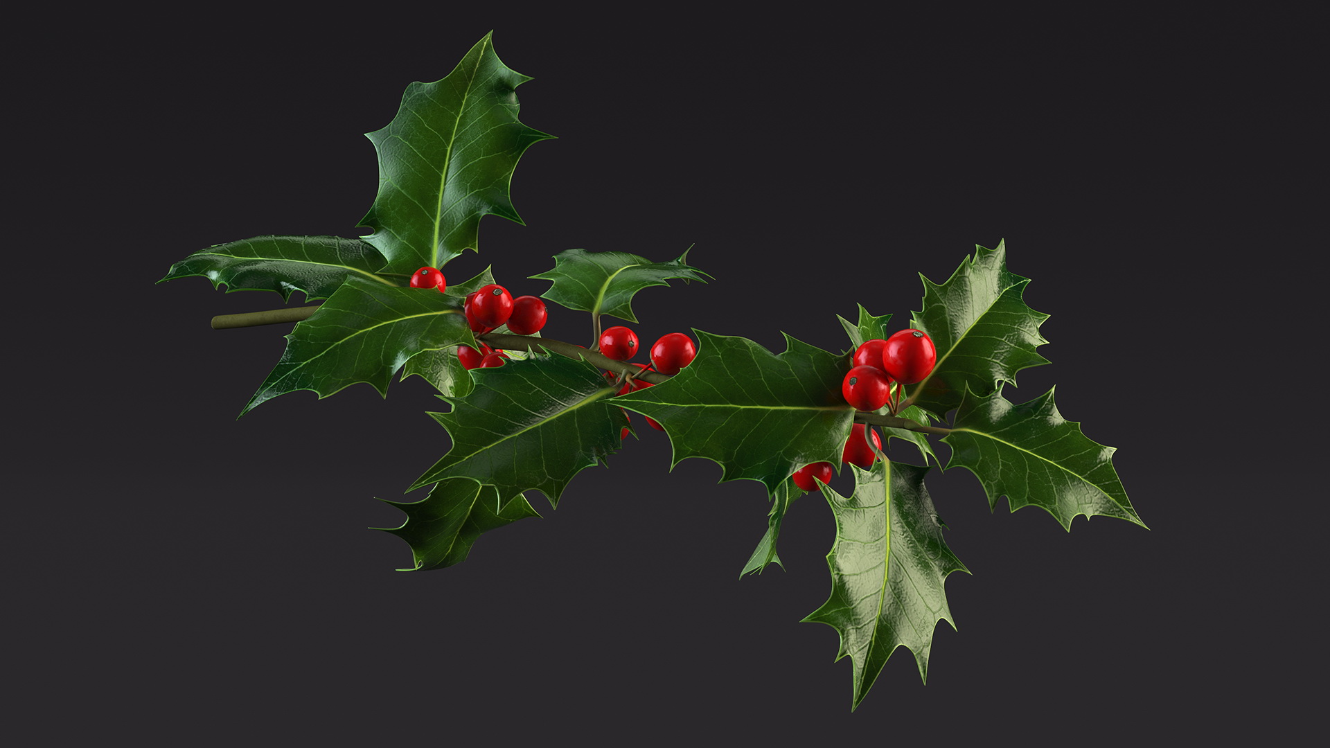 3D Mistletoe Sprig Holly