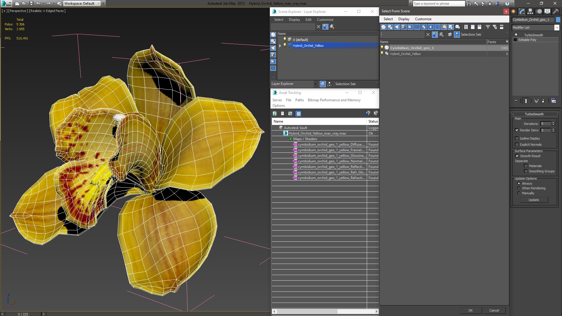 3D model Hybrid Orchid Yellow