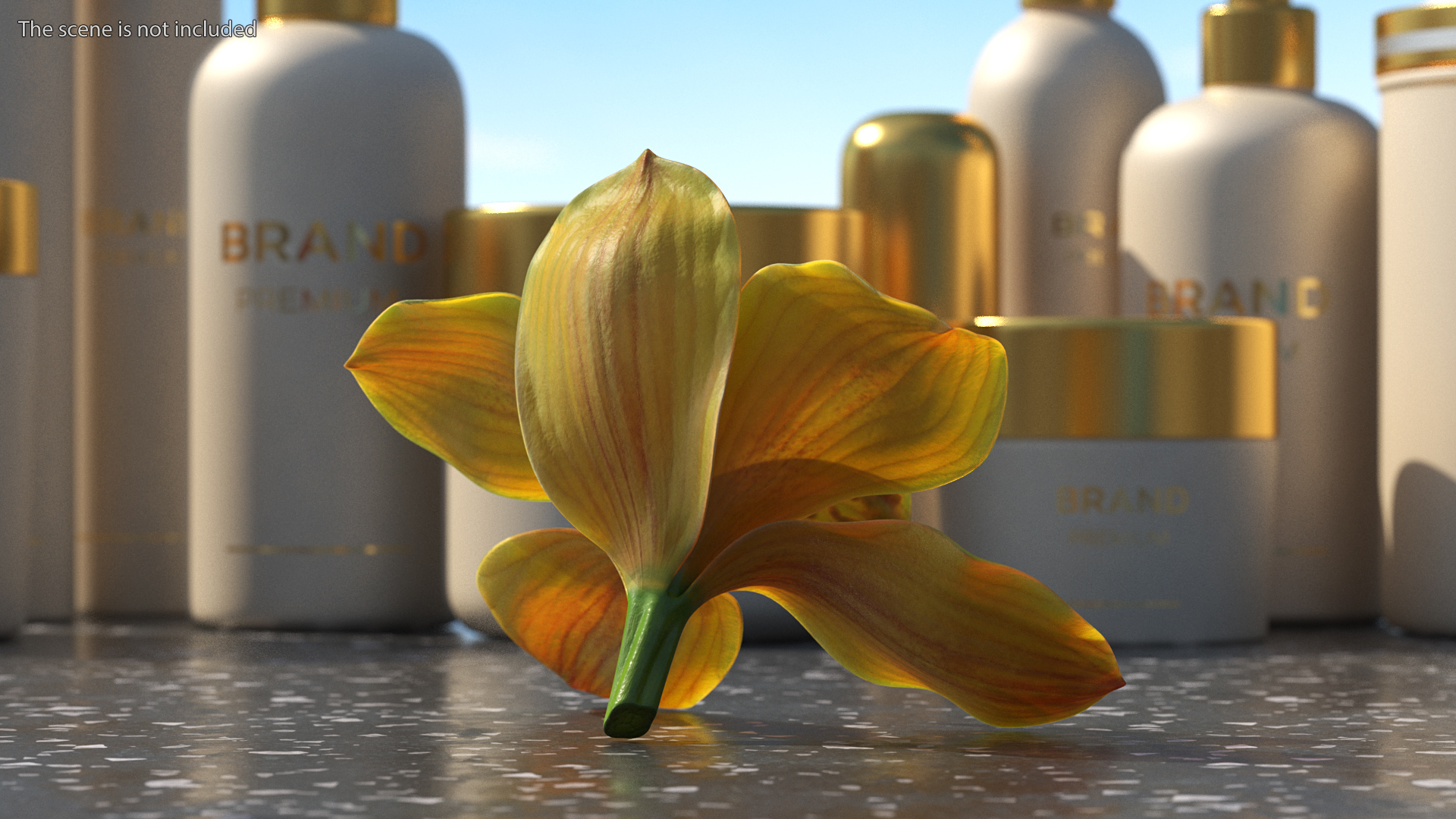 3D model Hybrid Orchid Yellow