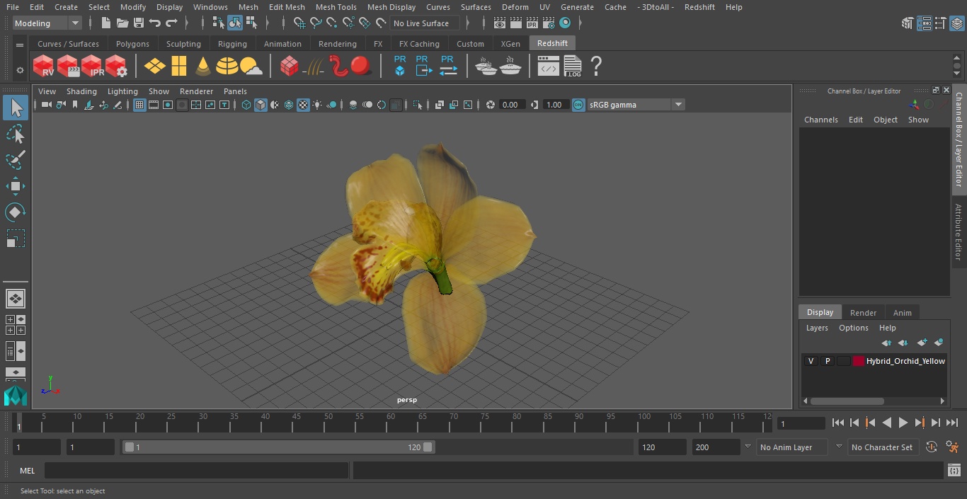 3D model Hybrid Orchid Yellow