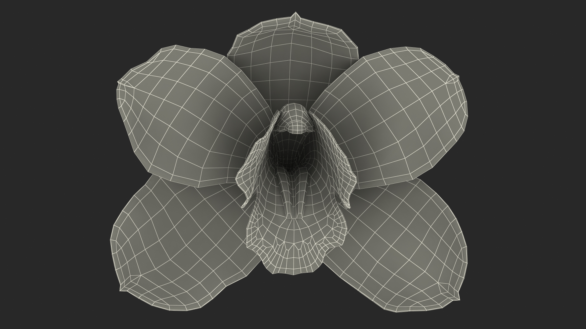 3D model Hybrid Orchid Yellow